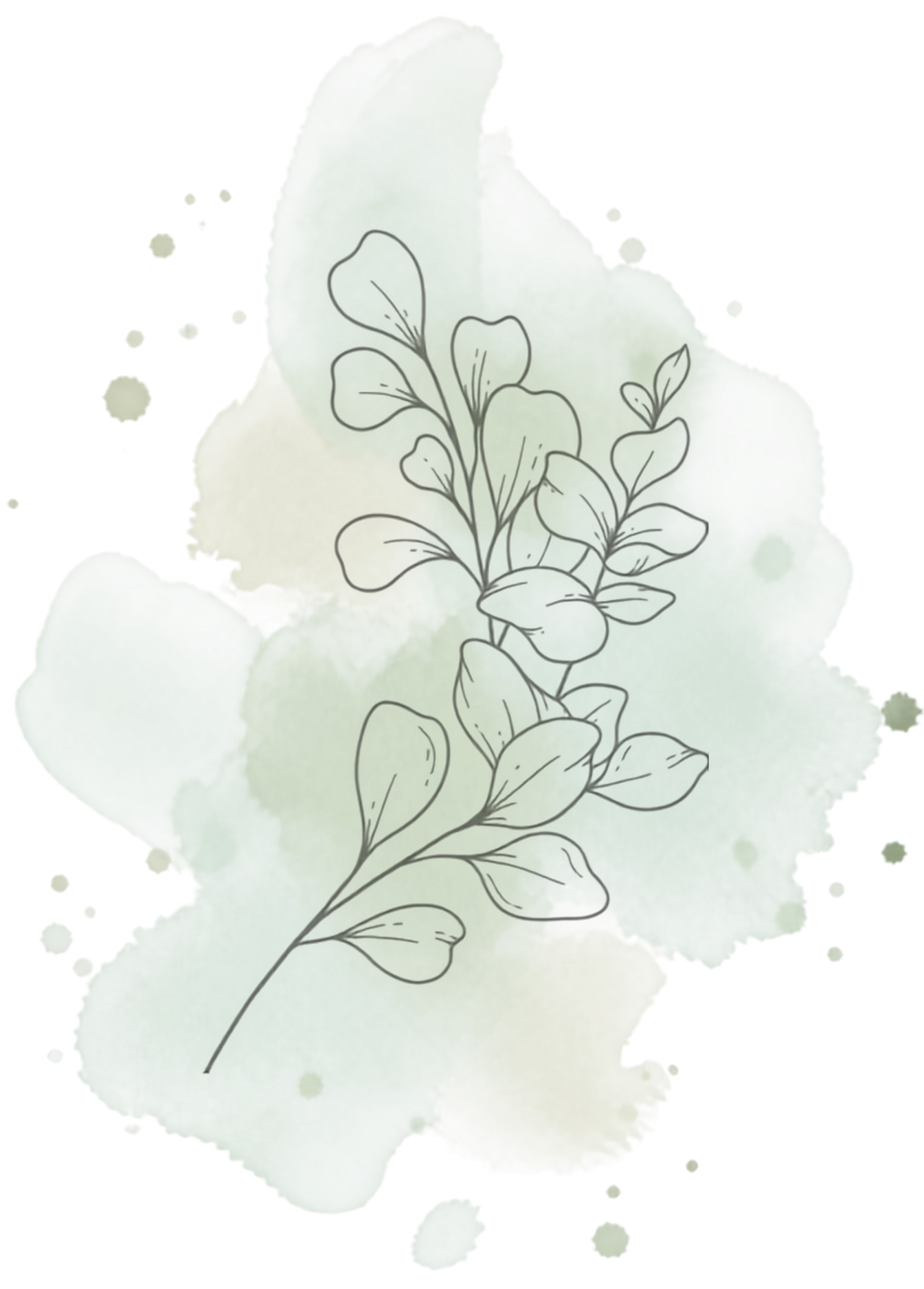 Dessin d'une plante avec des feuilles, superposé sur une feuille de papier déchirée.