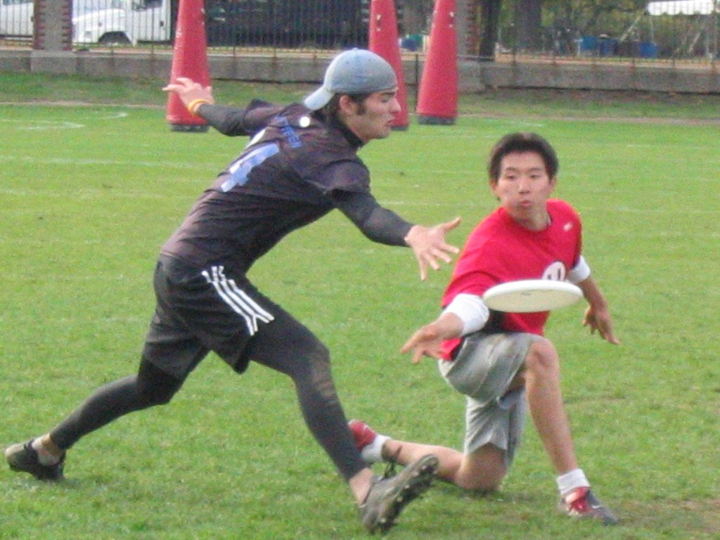 35209641.jpg
