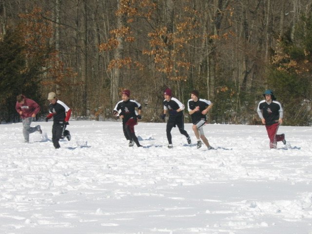 40550182.jpg