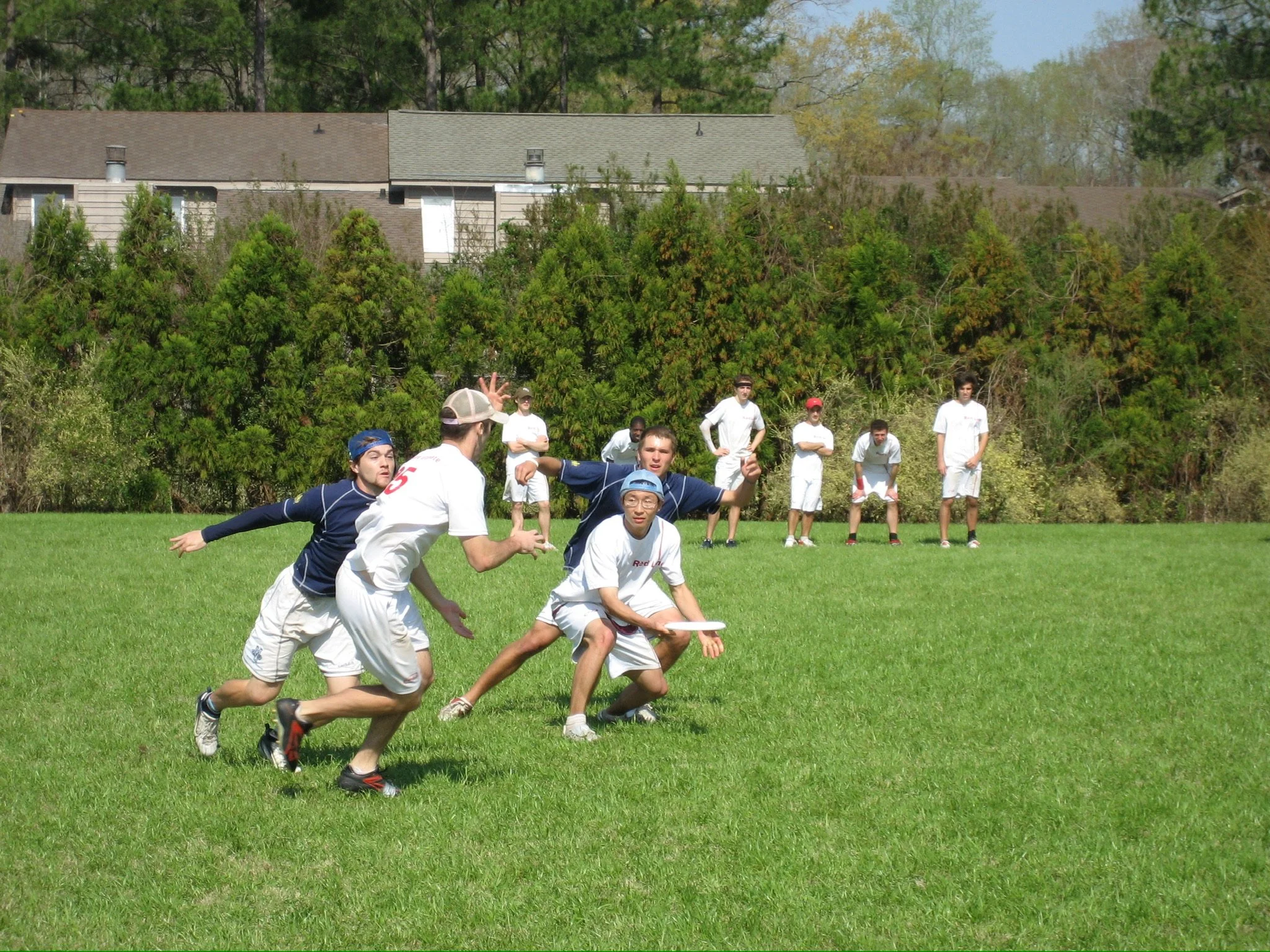 IMG_0345.jpg
