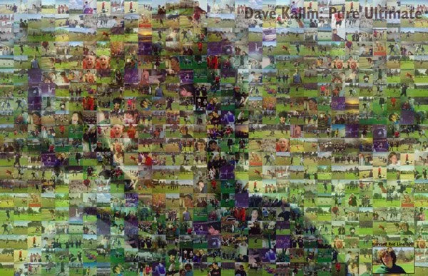 Kallin Collage.jpg