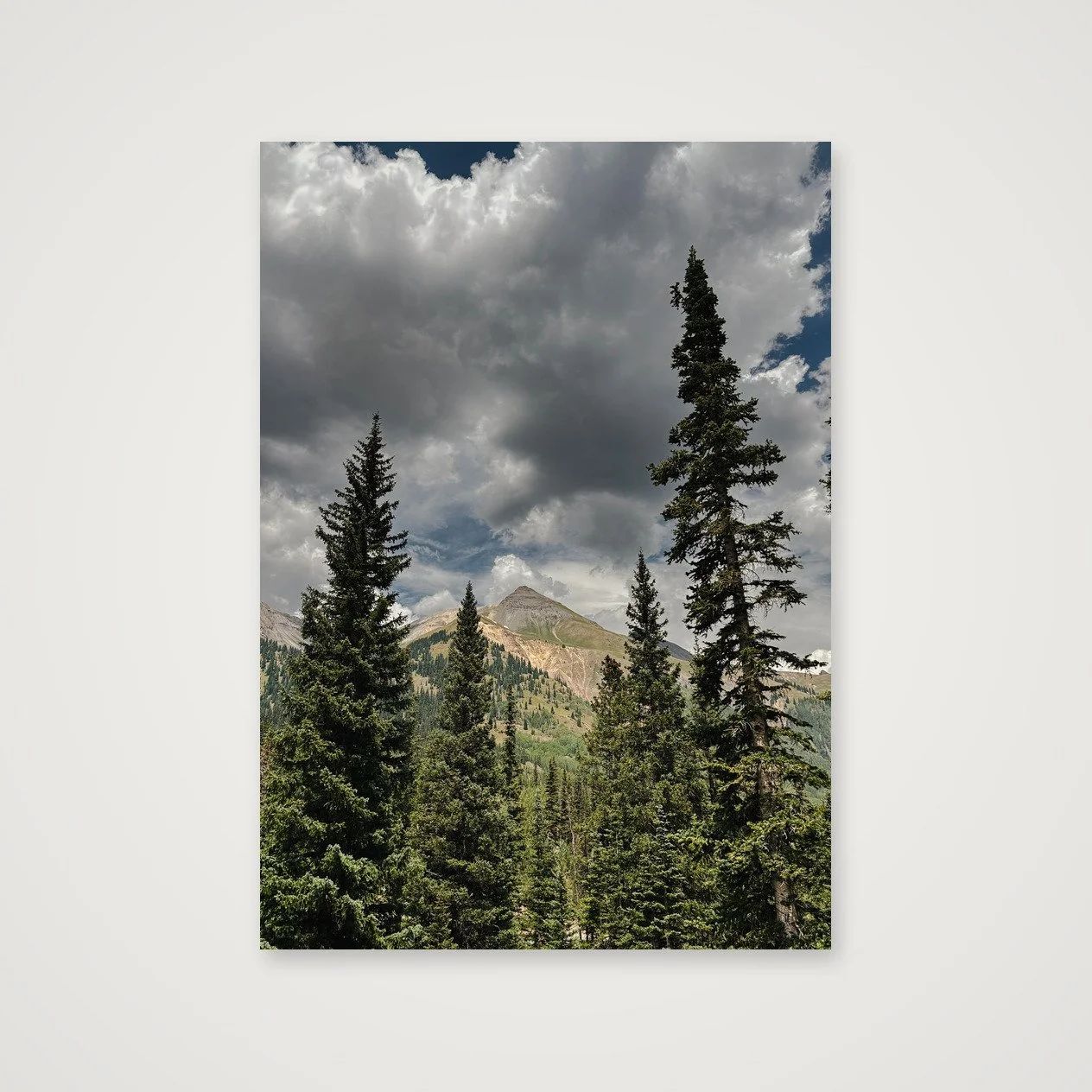 San Juans · Timberline