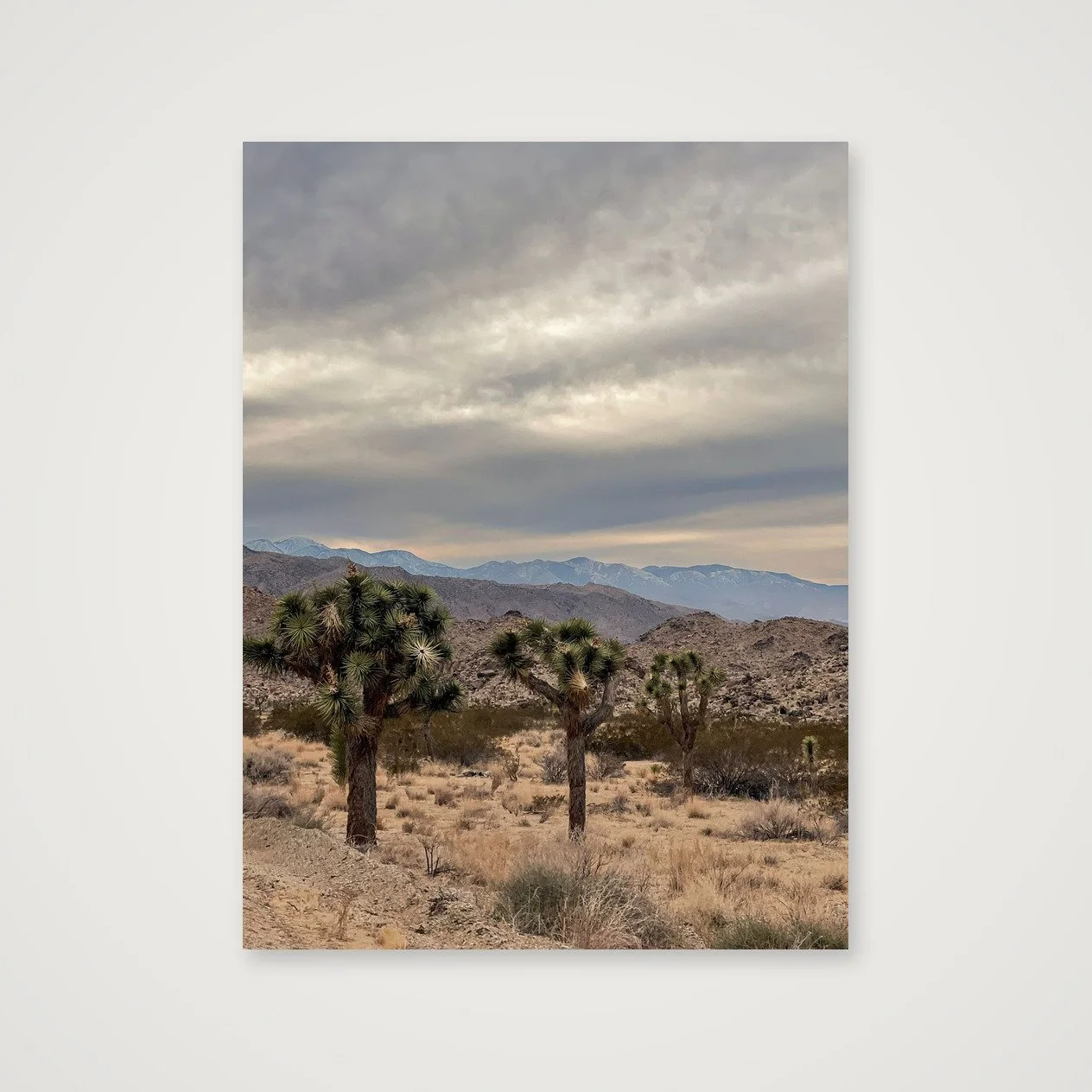 Joshua Tree · Stormy Mountain Vista