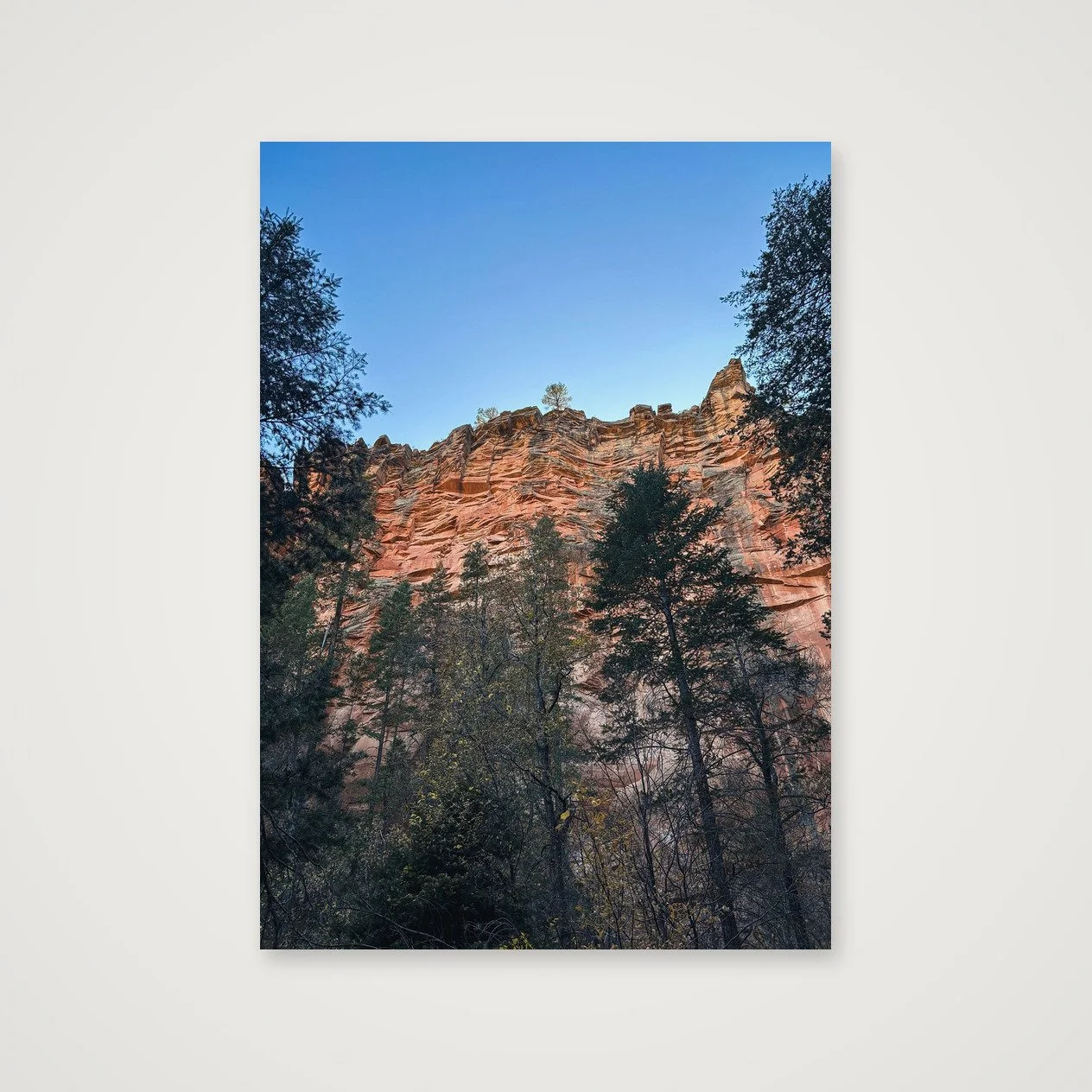 Oak Creek Canyon · Red Wall Sentinel