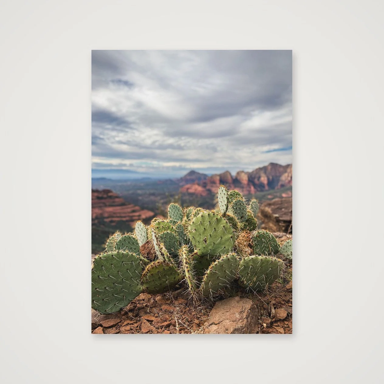 Sedona · Prickly Pear Overlook