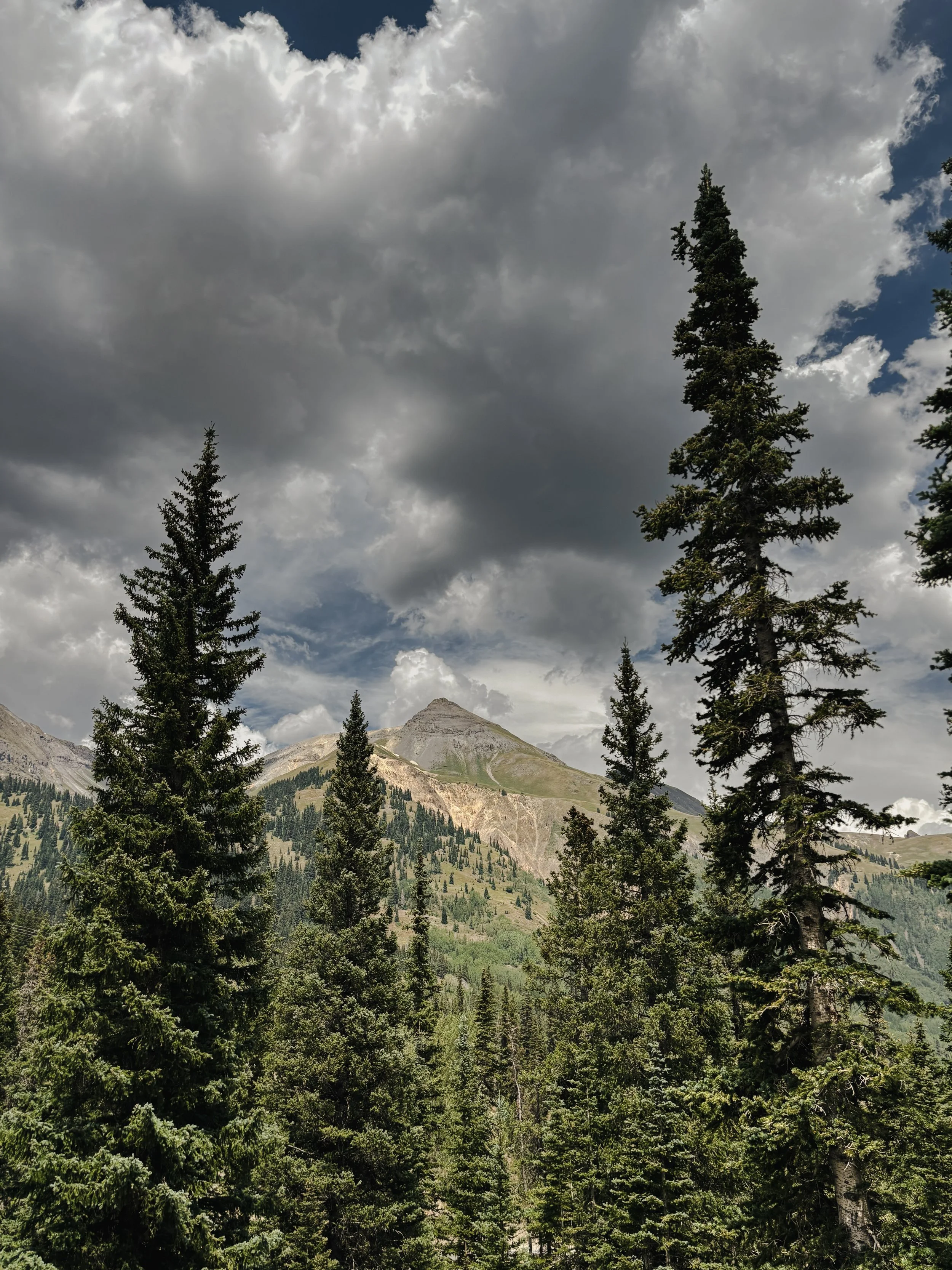 A mountain landscape scene featuring tall evergreen trees, mountain peaks in the background, mostly cloudy sky, and some patches of blue sky visible.