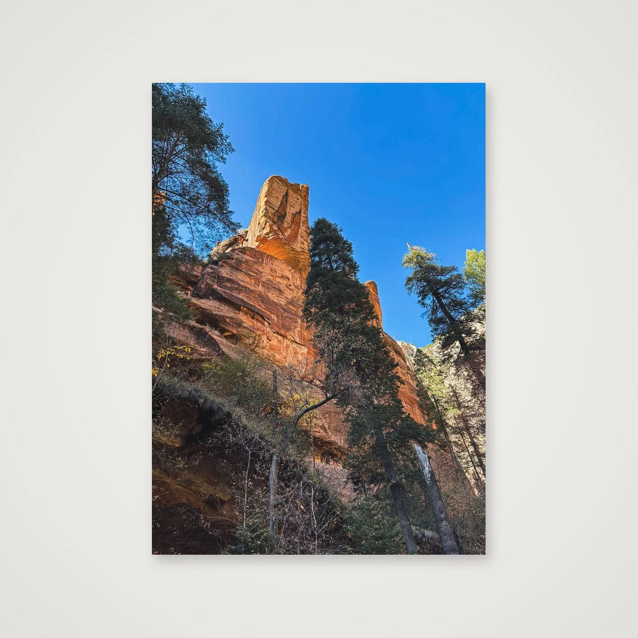 Oak Creek Canyon · Autumn Sun