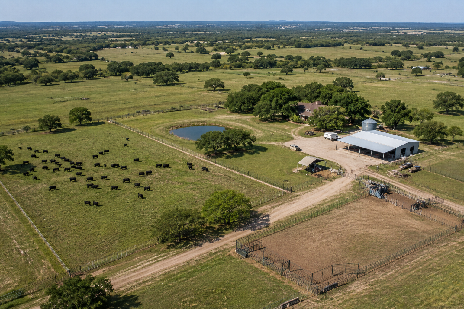 Aerial view of a ranch with a herd of black cattle, a small pond, a large barn, fenced paddocks, and open fields under a blue sky.