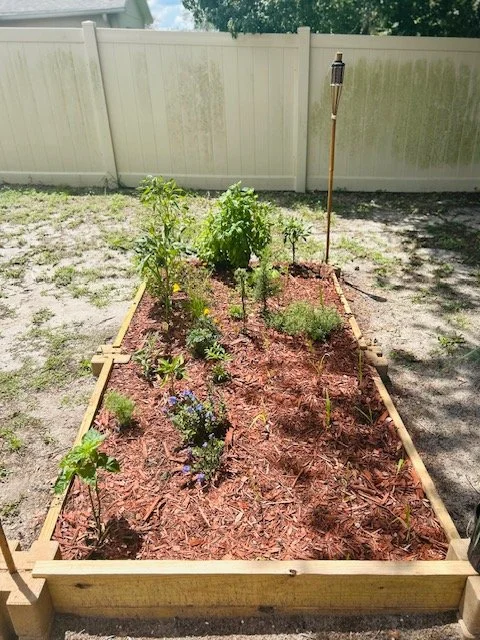 Outdoor Living & Landscaping Services