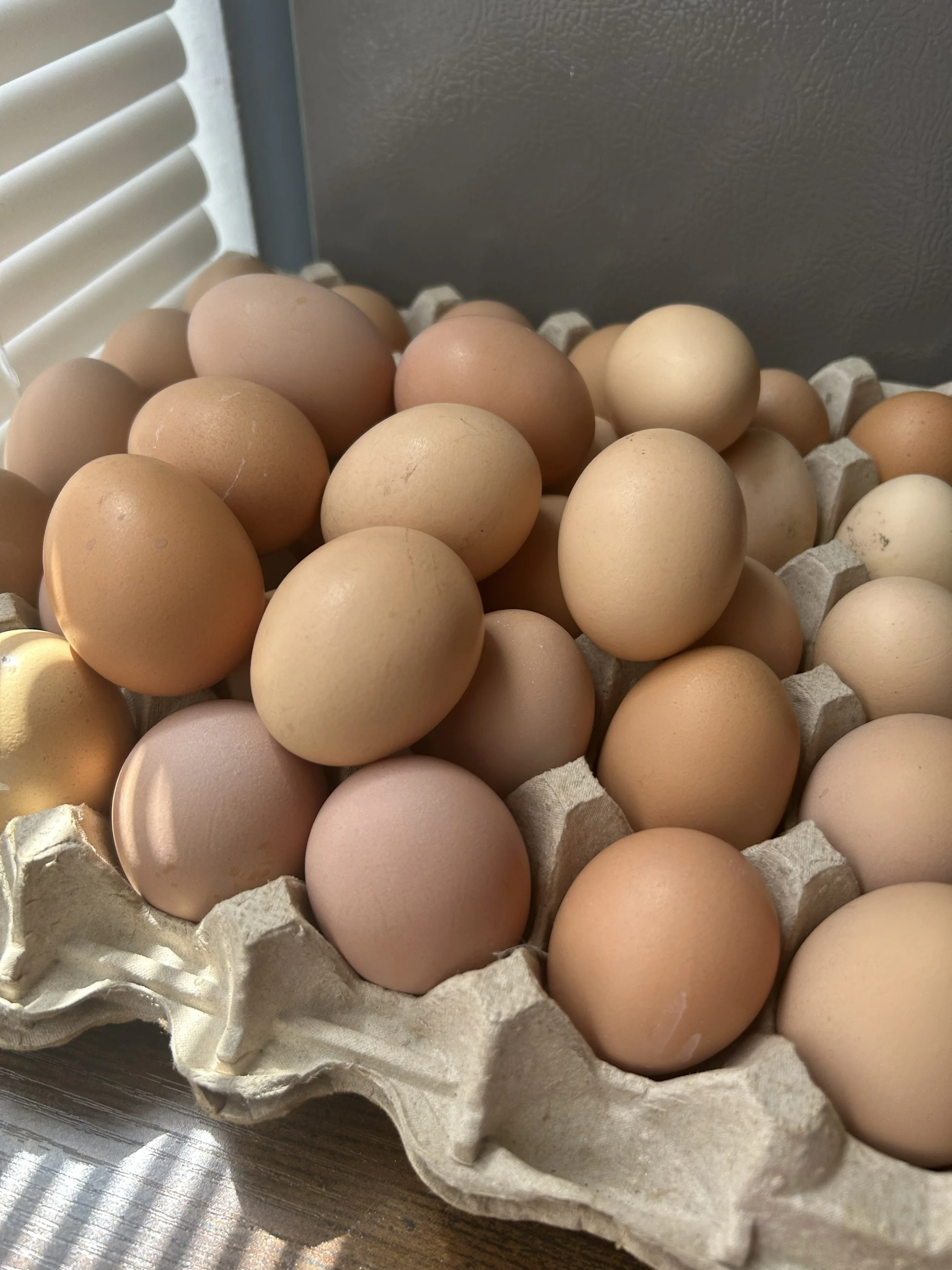 Organic Eggs
