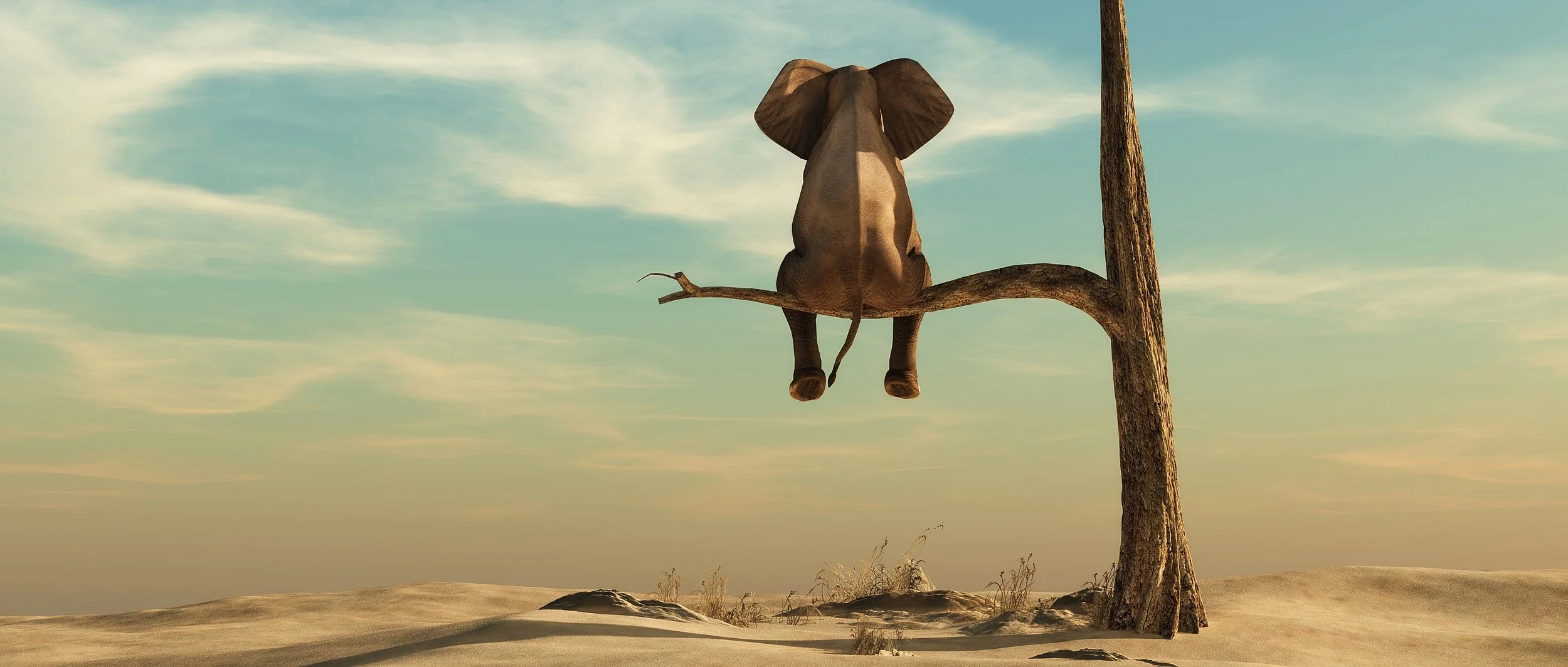 Surreal elephant-shaped tree standing alone in a desert landscape.