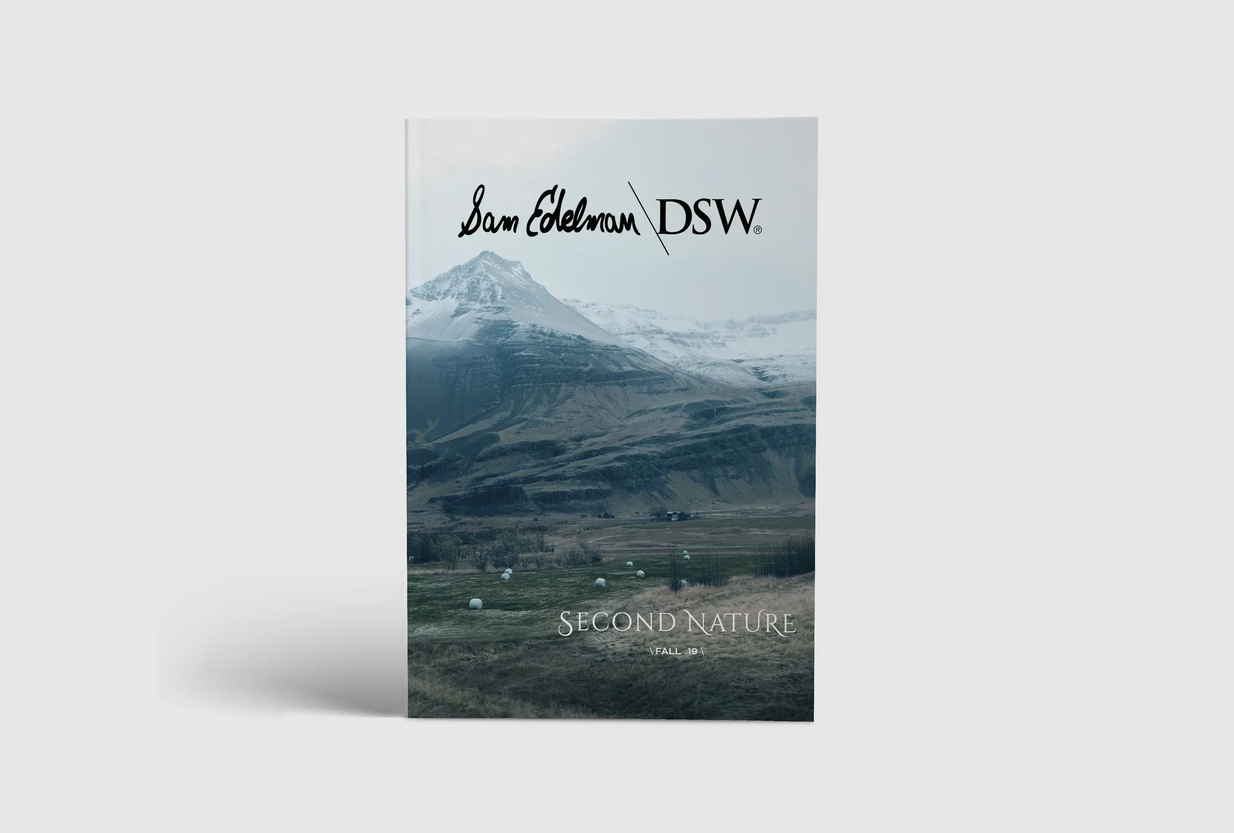 dsw-1.jpg