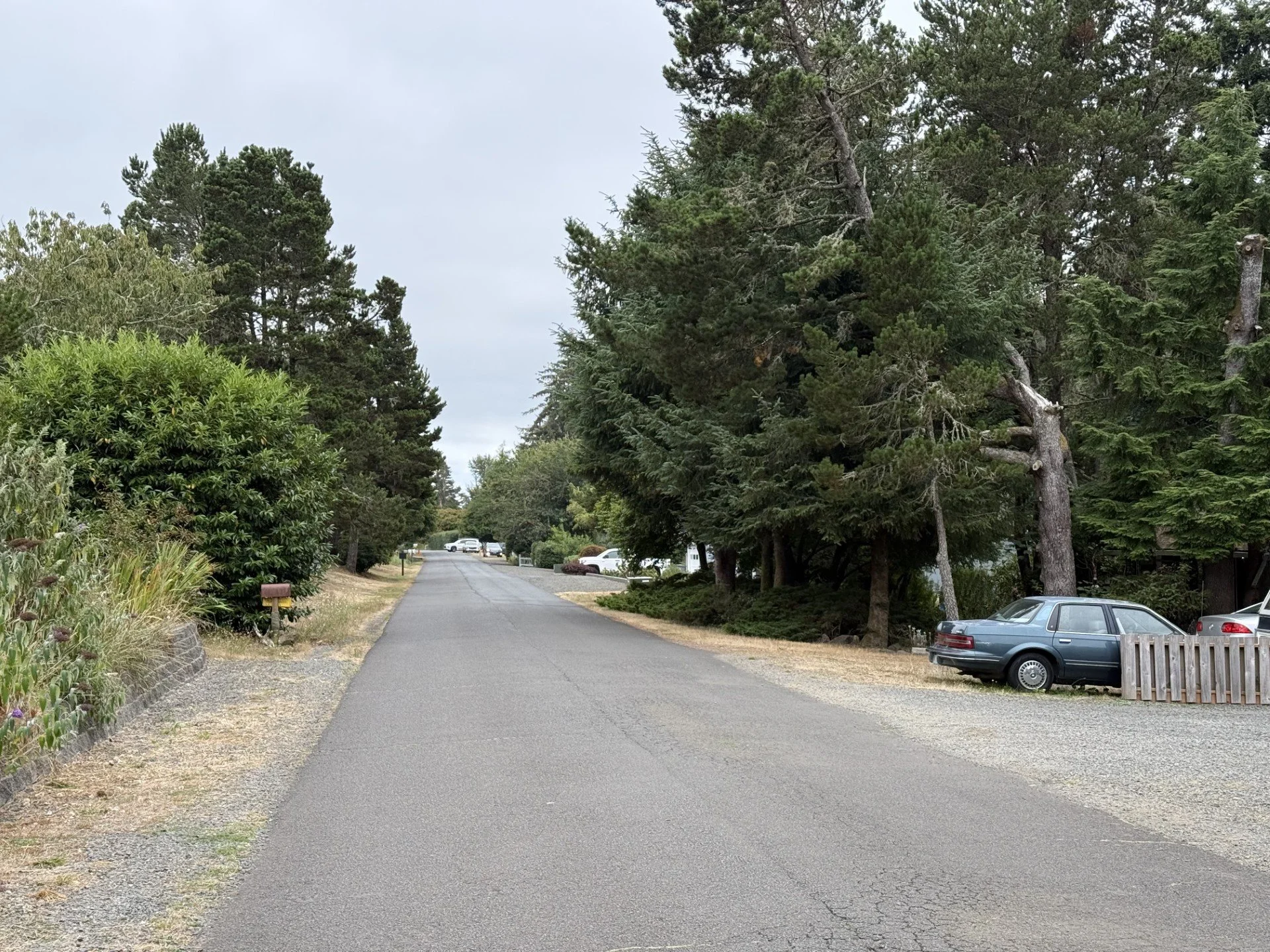 What I love about Gearhart, ep. 1