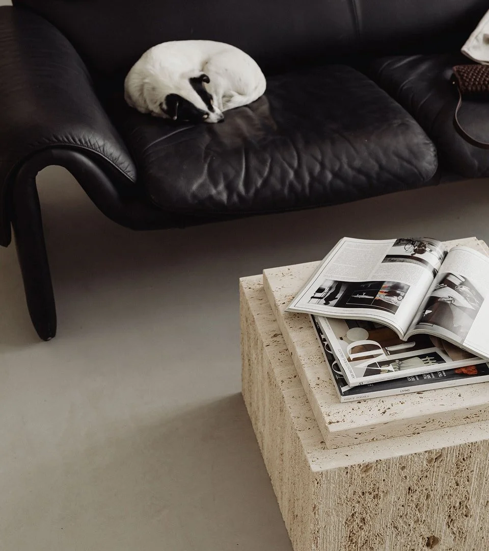 A black leather sofa with a white and black dog curled up sleeping on it. In front of the sofa is a rectangular, textured beige stone coffee table with open magazines on top. The room has a minimalist, modern decor.
