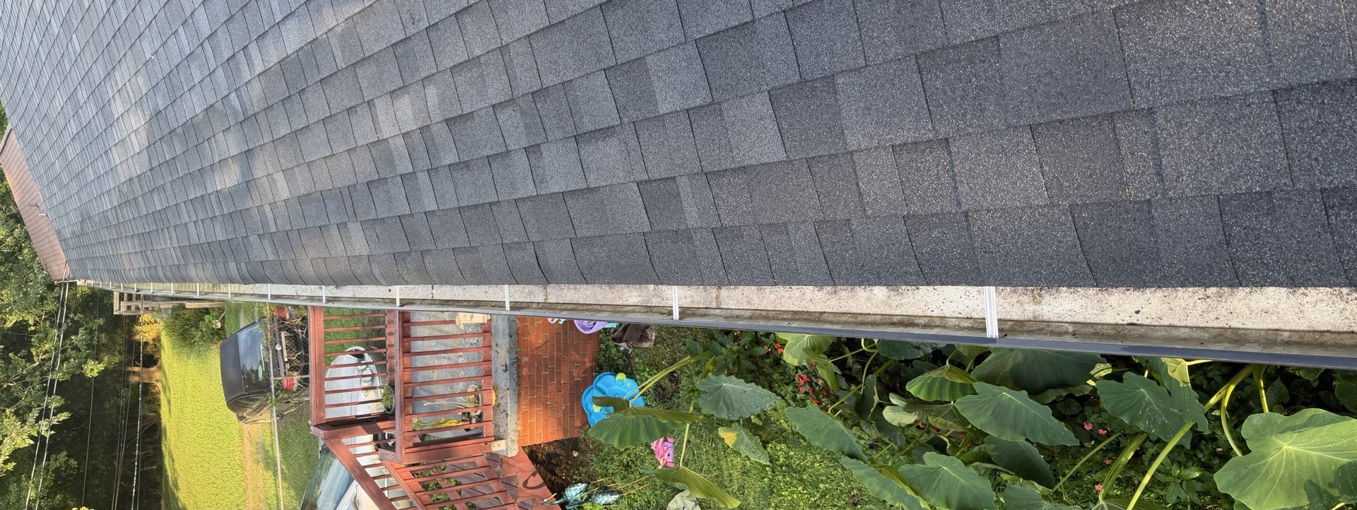 Close-up of a grey shingled roof with a gutter and green plants below.