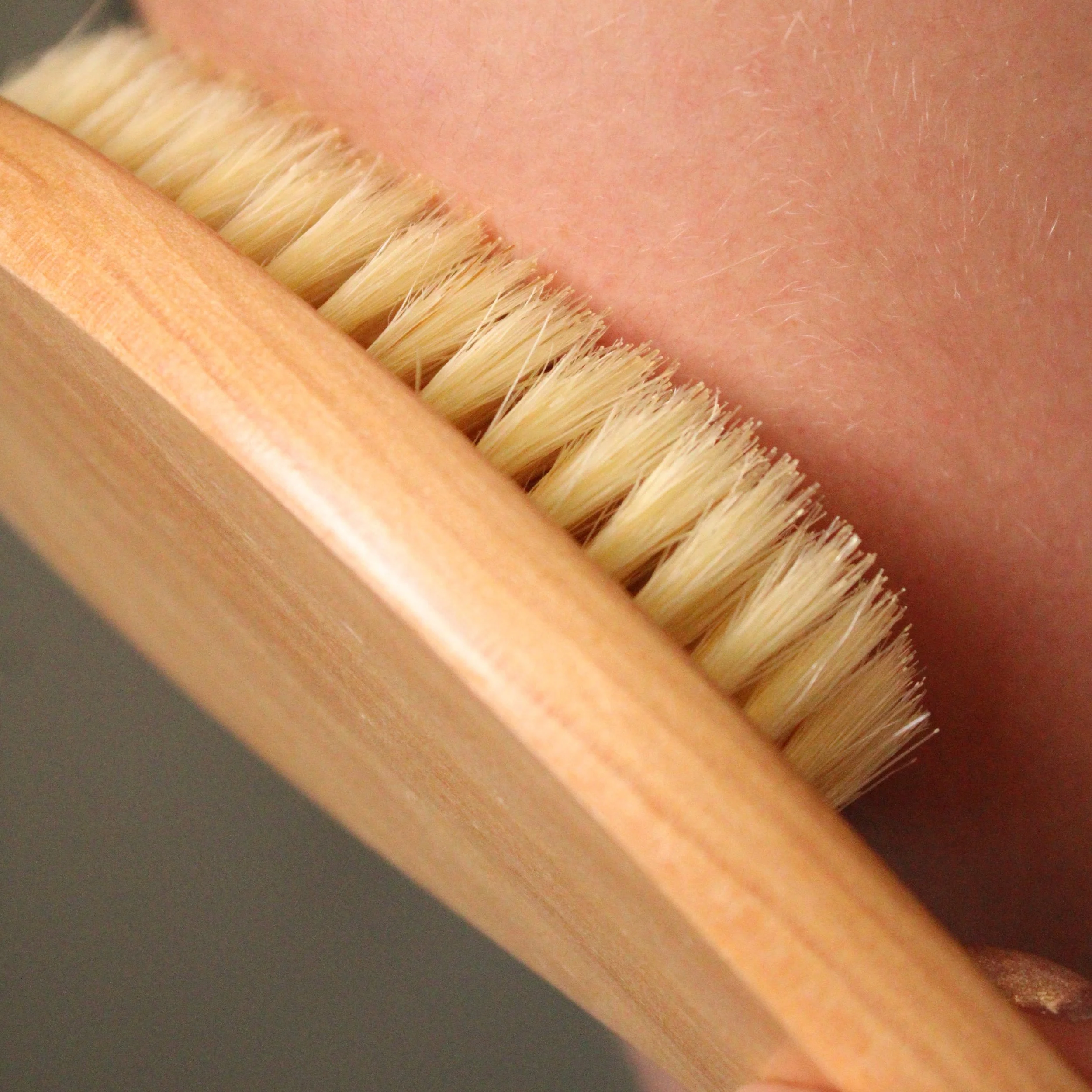 Wooden_dry_brush_with_bristles.jpg