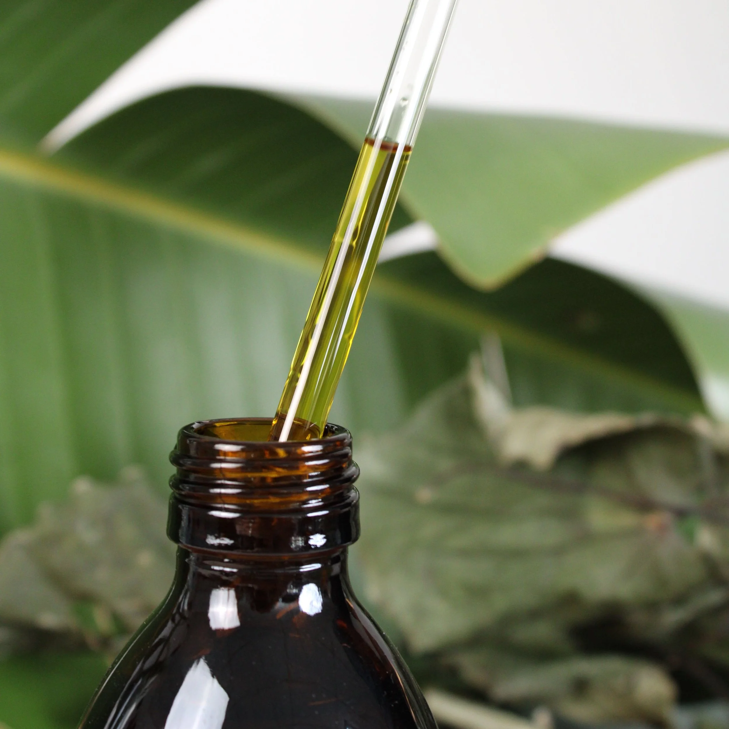 Kawakawa_infused_Jojoba_Oil_250ml_with_dropper_06.jpg