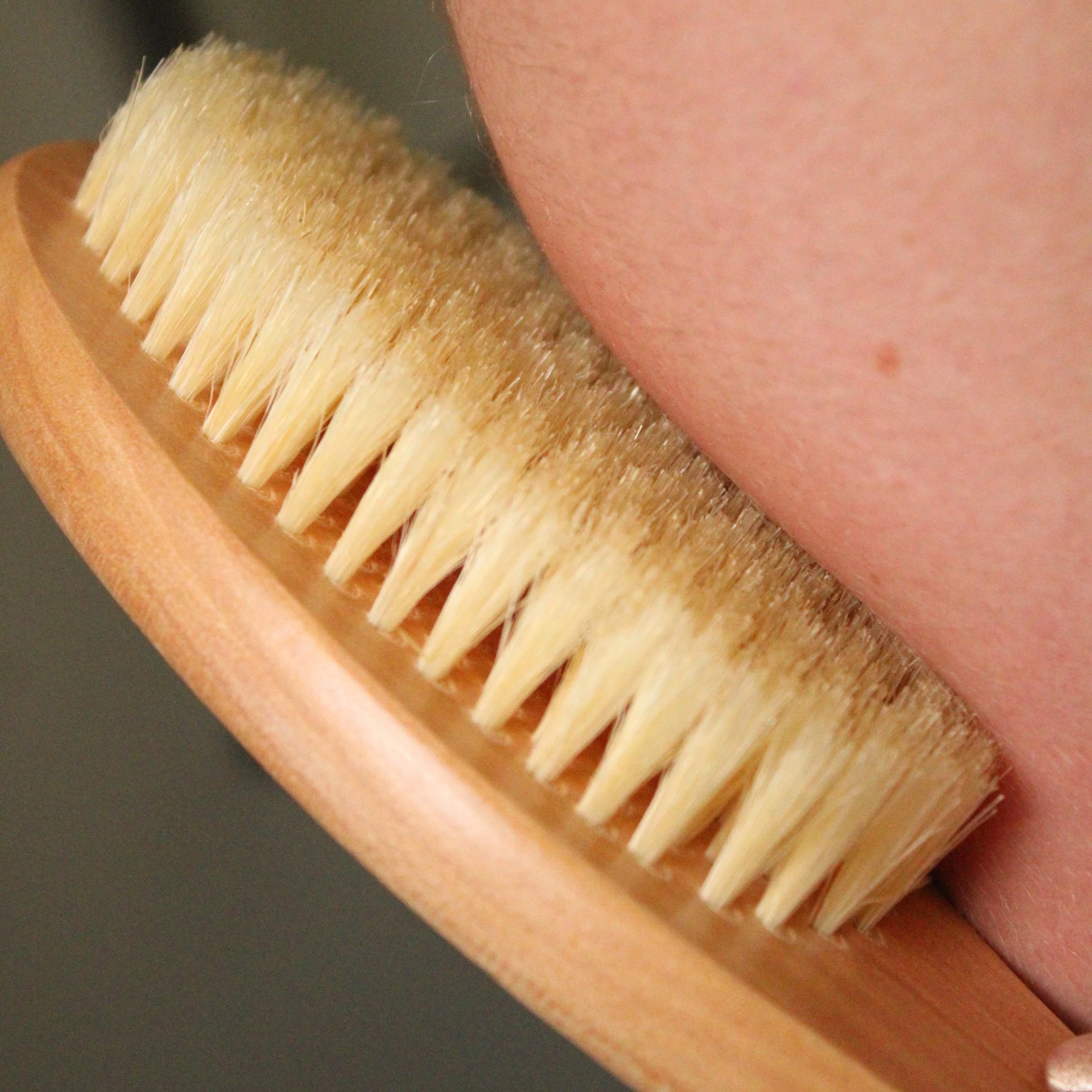 Wooden_dry_brush_with_natural_bristles.jpg