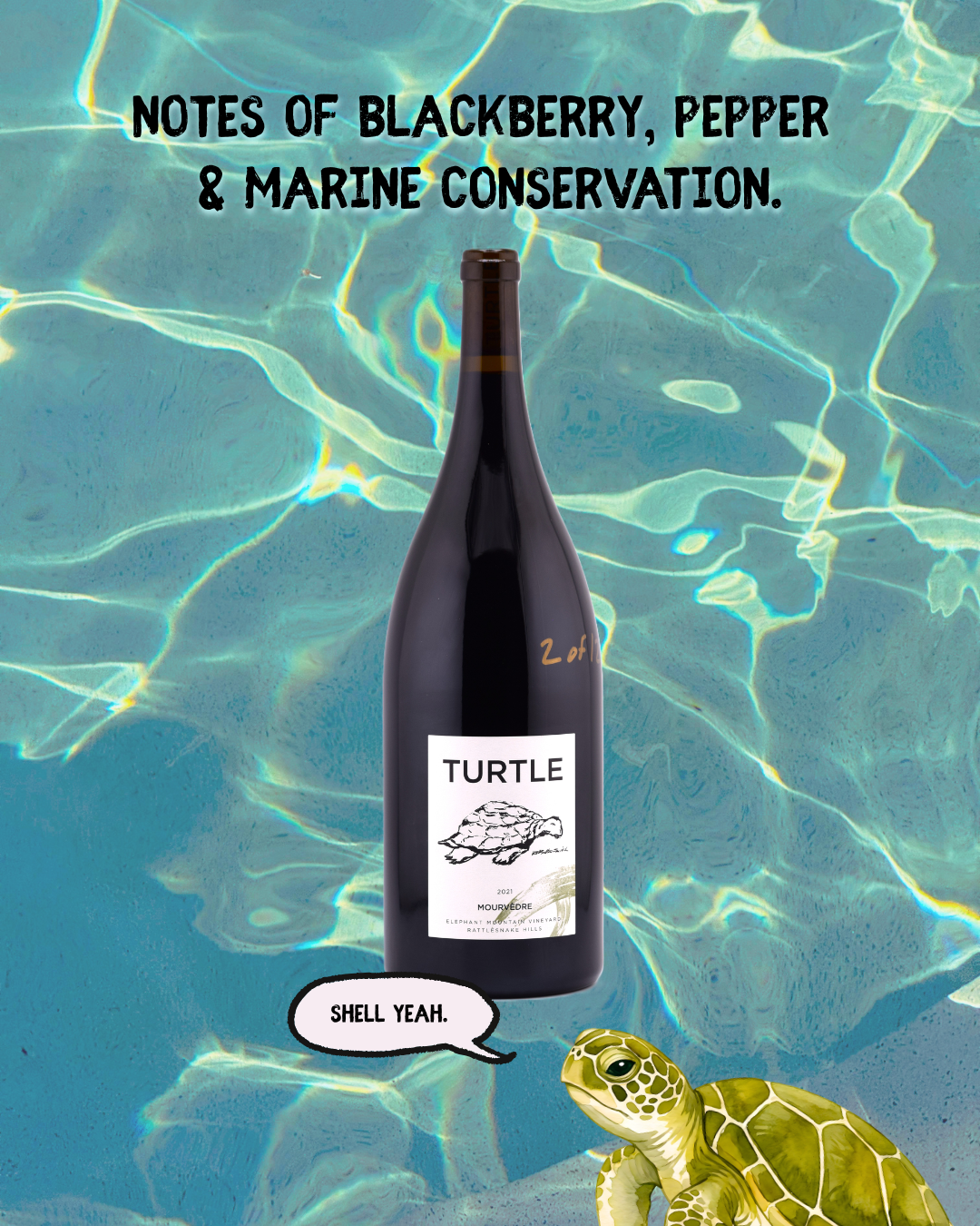 Design sample for a wine campaign that supports marine life conservation featuring a turtle saying "shell yeah" under an image of Hess wine bottle and bold text that says "Notes of blackberry, fig, and marine conservation"