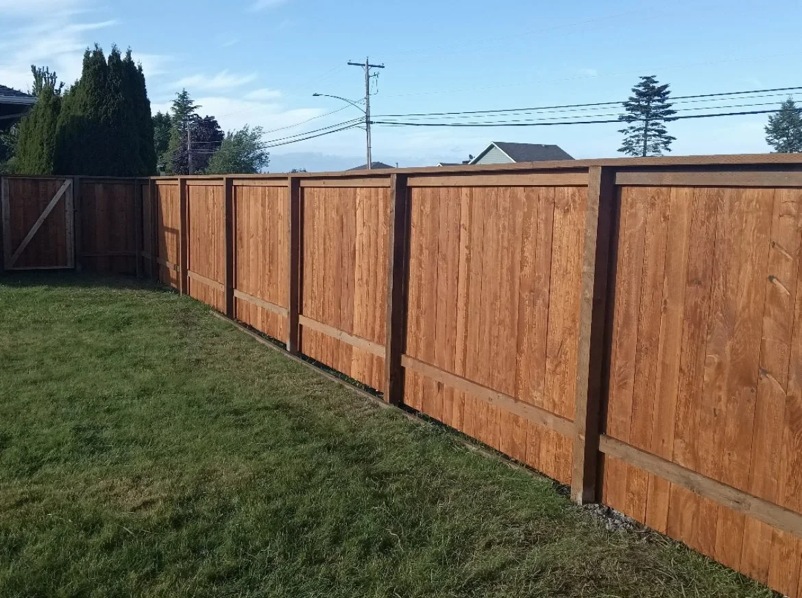 A new wooden privacy fence in a backyard, with green grass in the foreground and a blue sky with some clouds above.