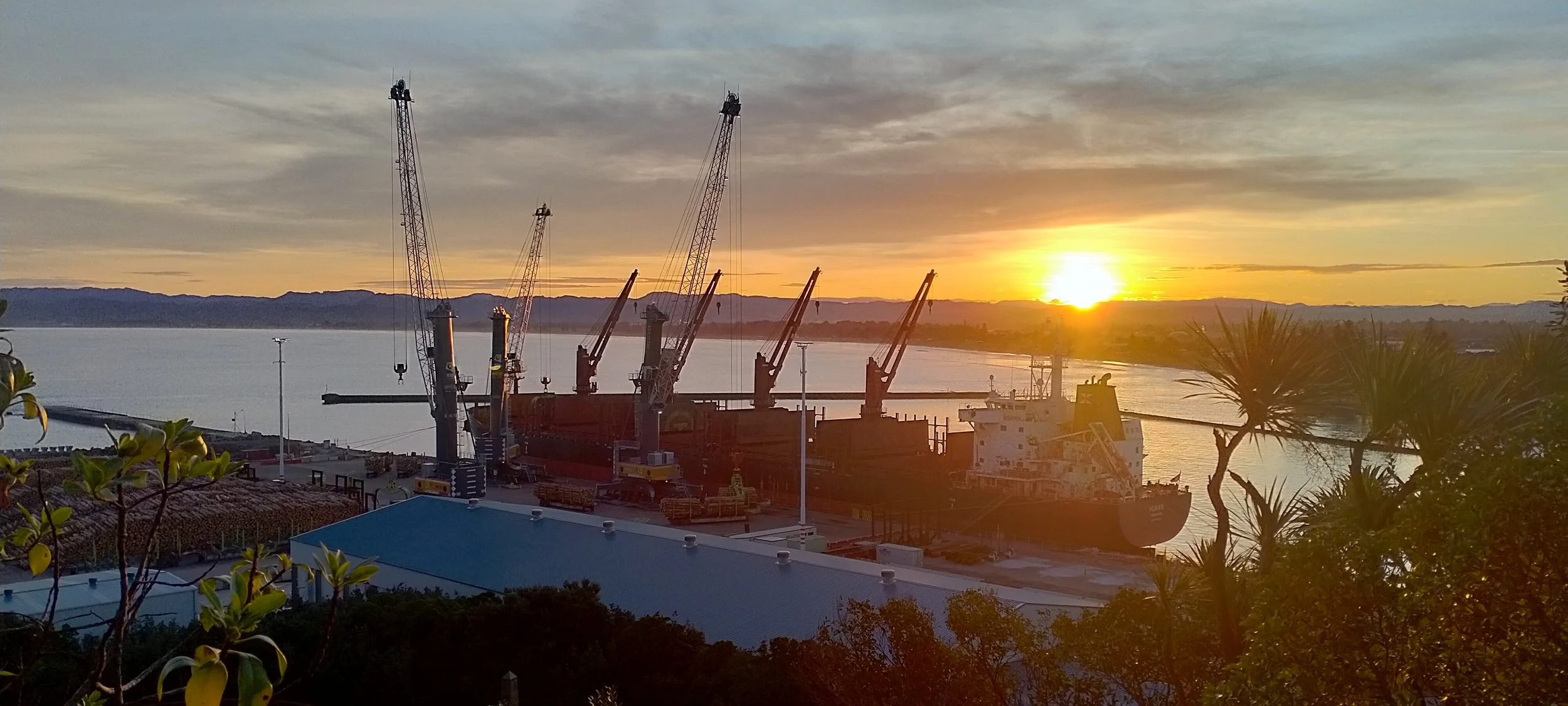 Sunset over a harbor with several large container cranes, a ship, and some trees in the foreground.