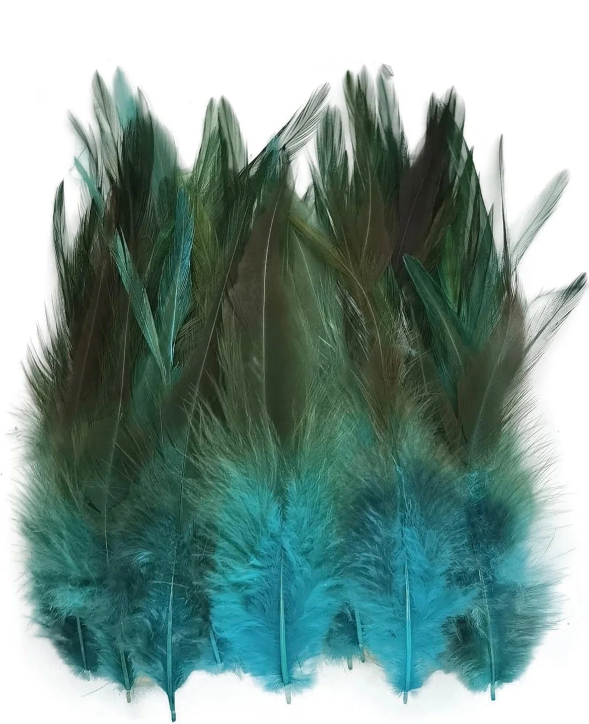 teal_feather.jpeg