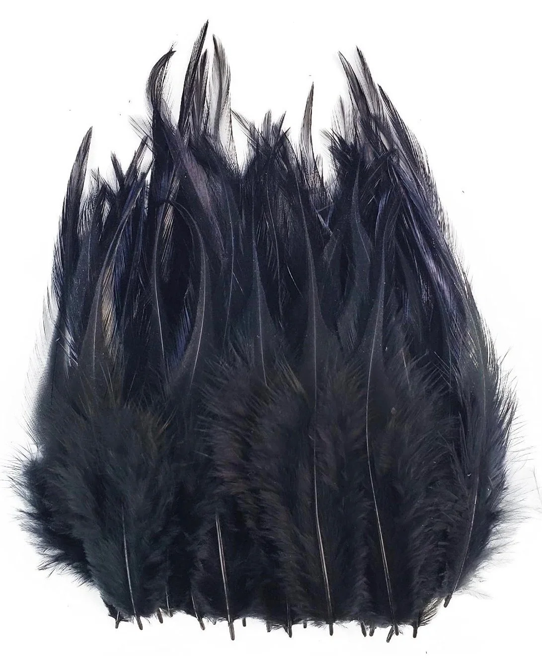 black_feather.jpeg