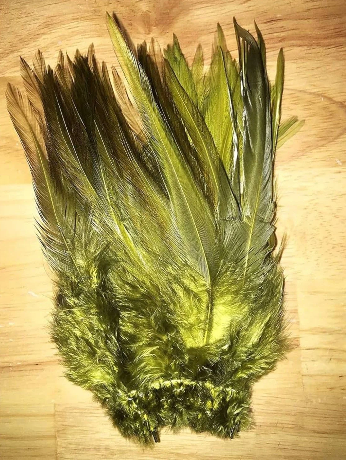 green_black_feather.jpeg