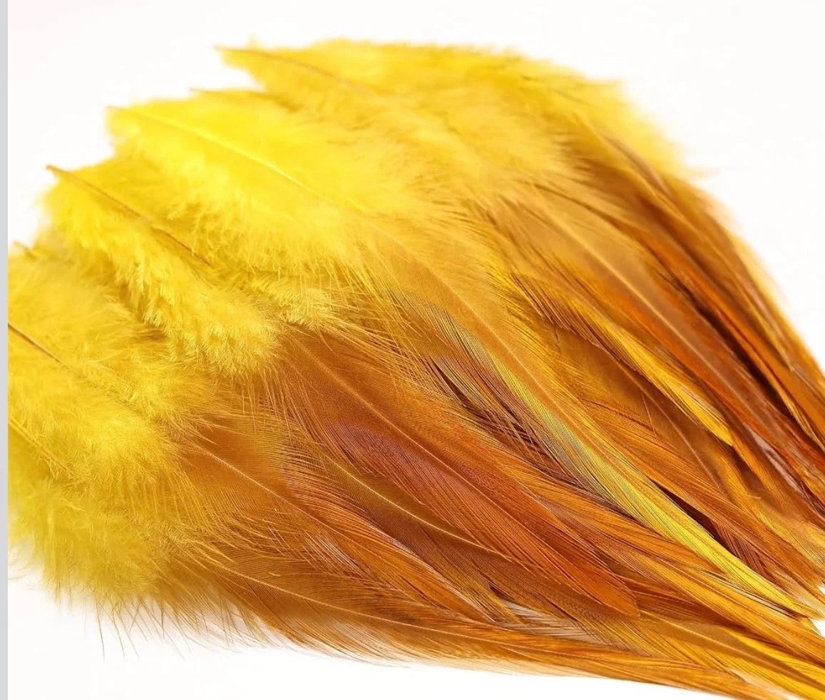 Yellow_feather.jpeg