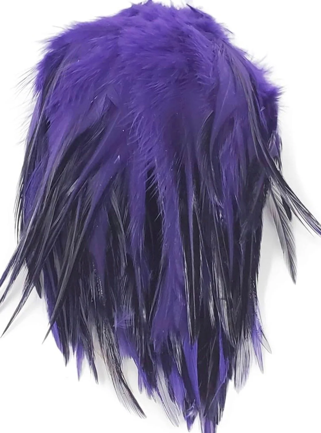 purple_feather.jpeg