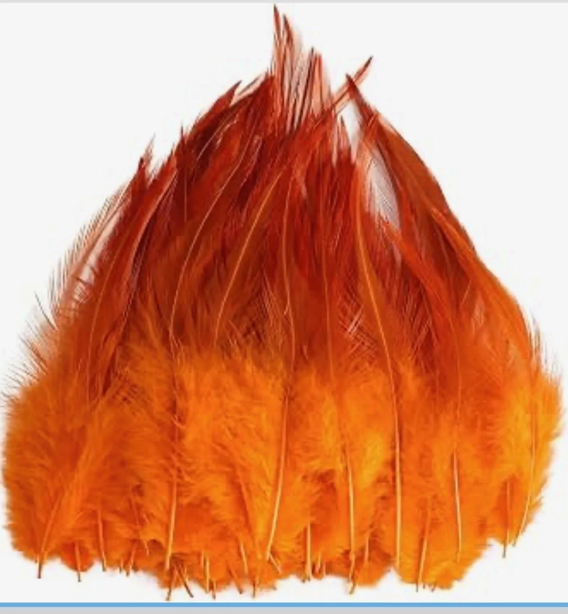 orange_red_feather.jpeg