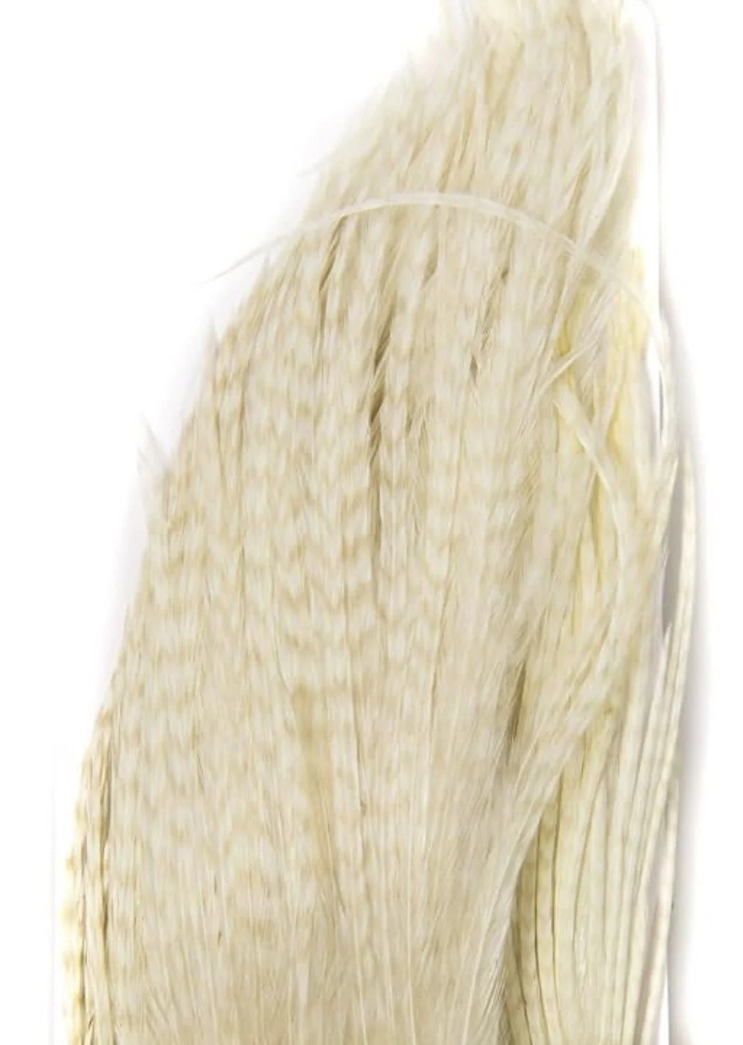 natural.jpeg
