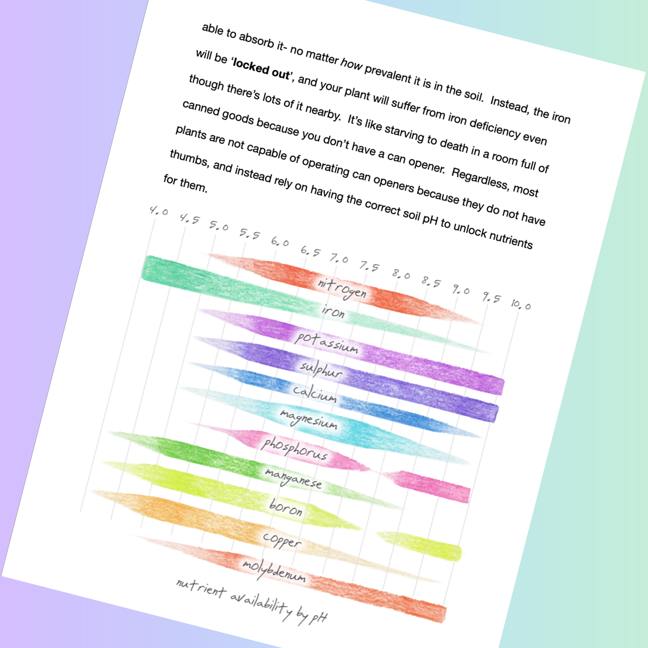 Website-2.png