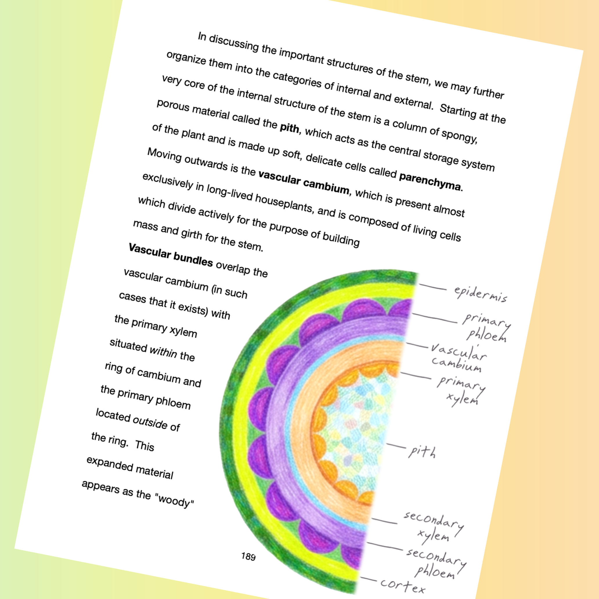 Website-4.png