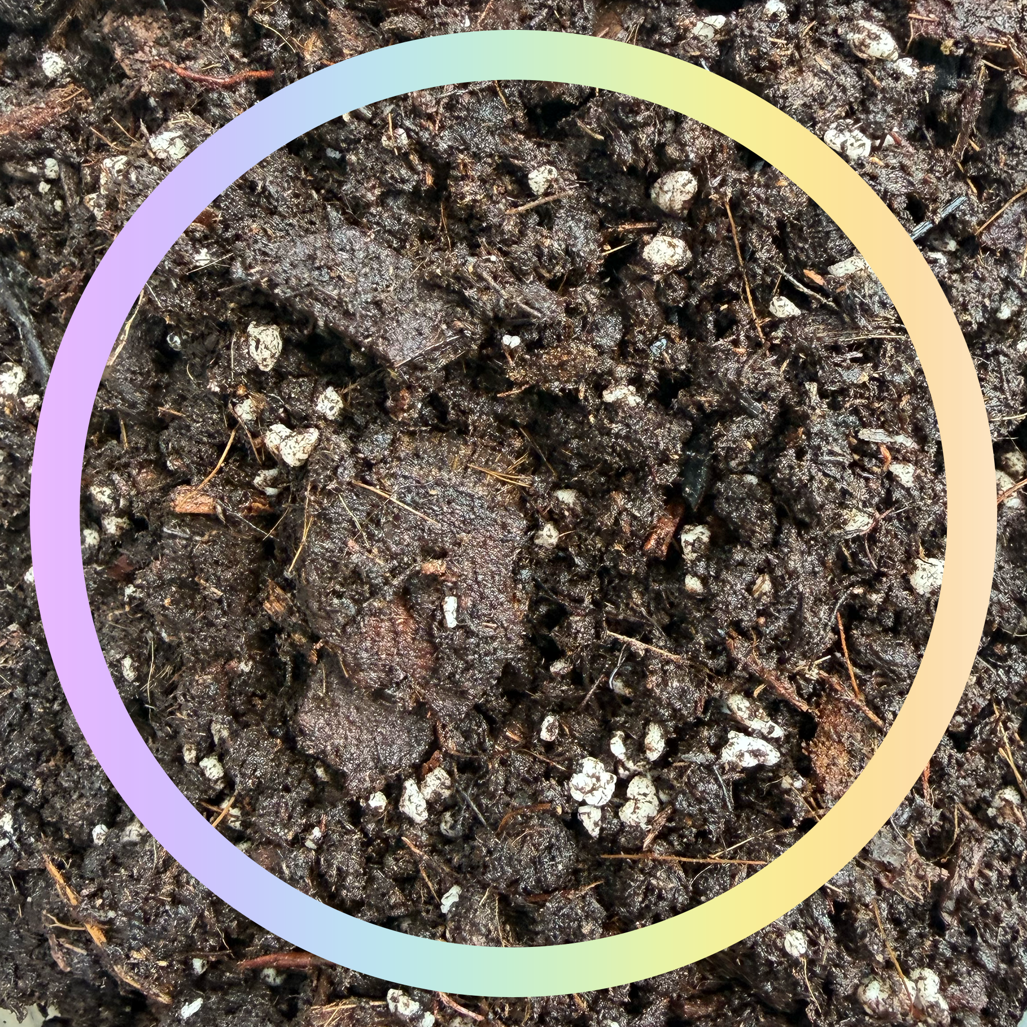 Fairy Garden Potting Mix