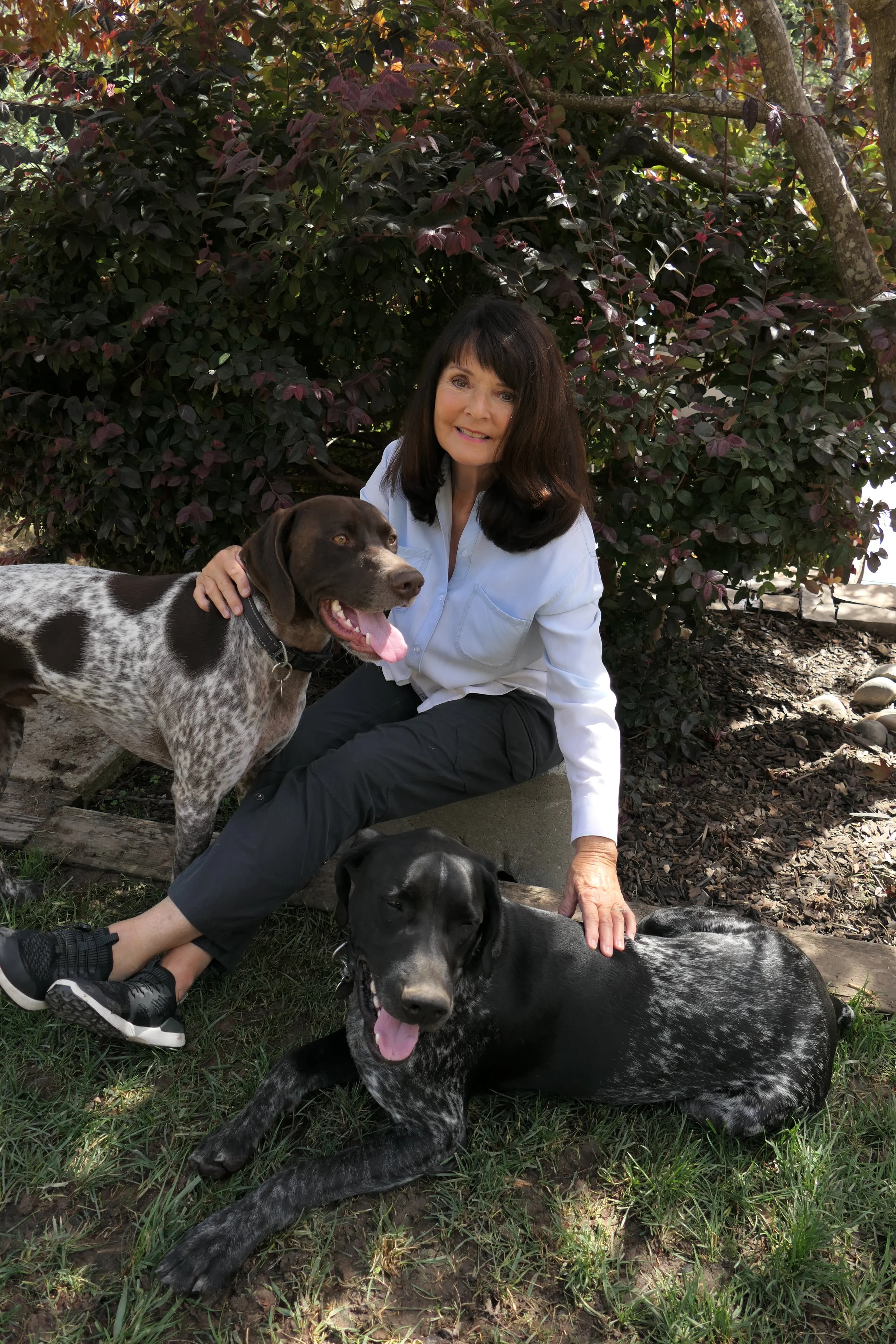 Pamela West, sitting outdoors with three dogs, in front of a large leafy bush and tree. One dog is brown and white standing next to her, another is black and white lying on the ground, and the third, mostly out of frame, is also lying on the grass.