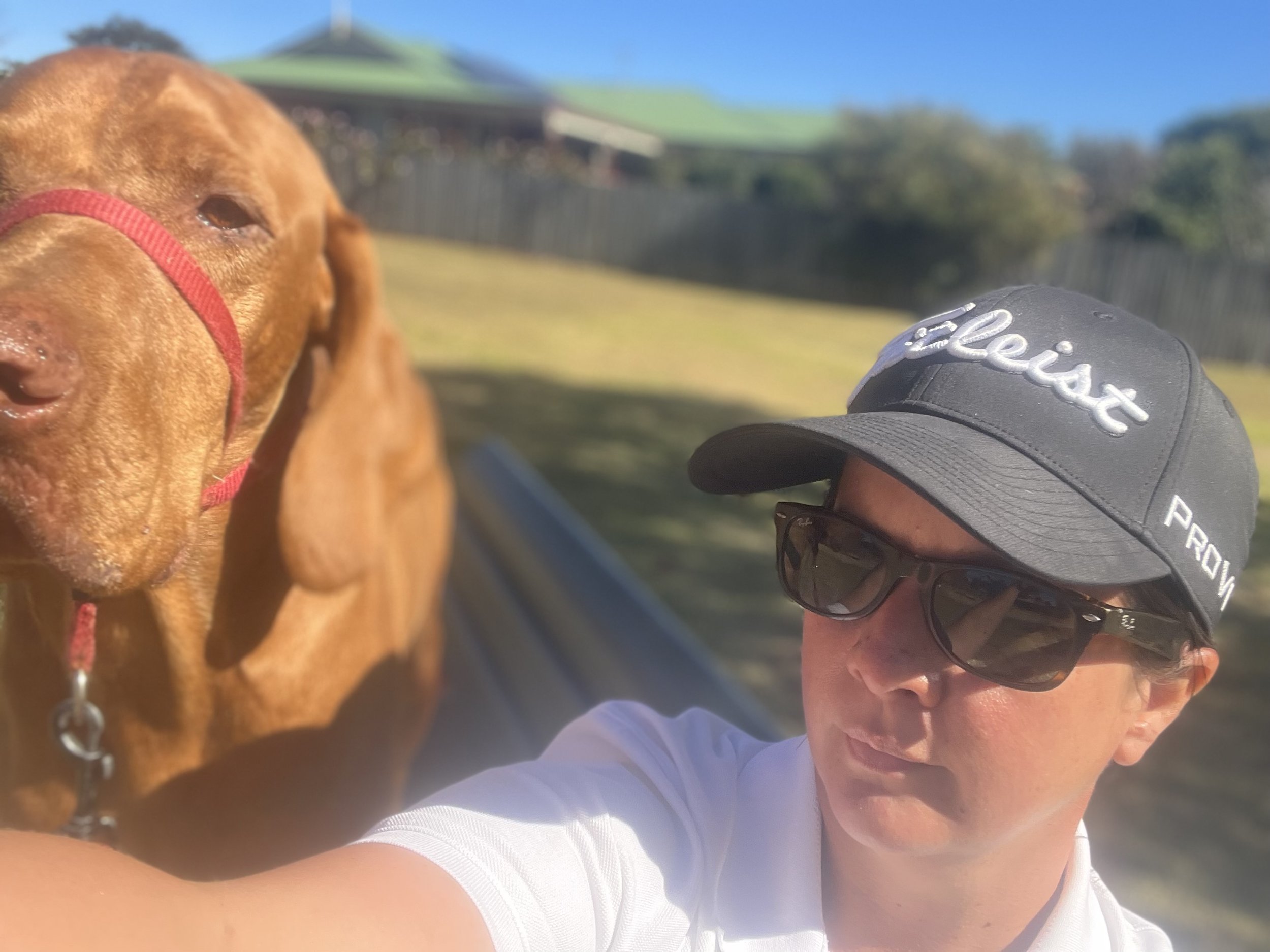 Home Visit Services 🐕🥣