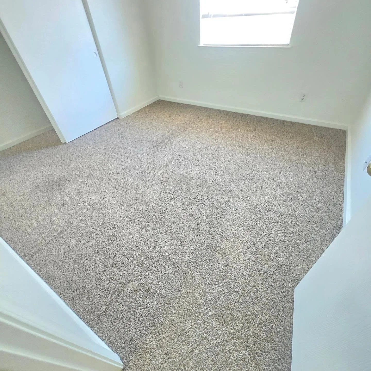 Empty beige-carpeted room with a white door and a window.