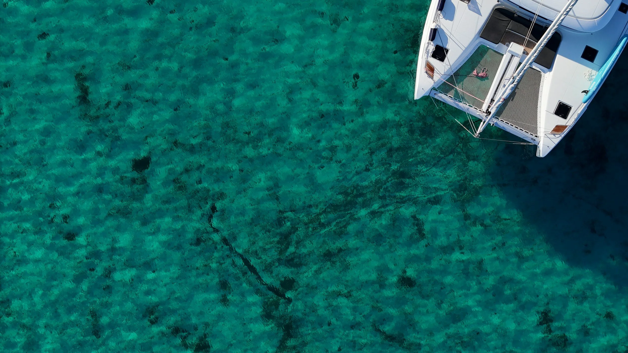 unsplash-image-ilEWMfm9l6U.jpg