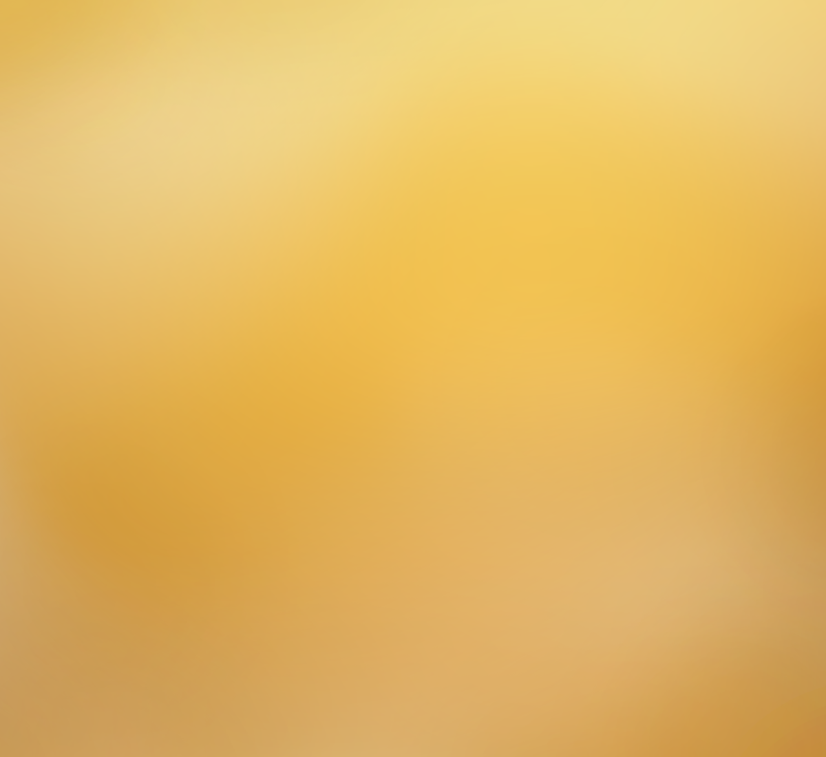 Blurred yellow background with no discernible objects or details.