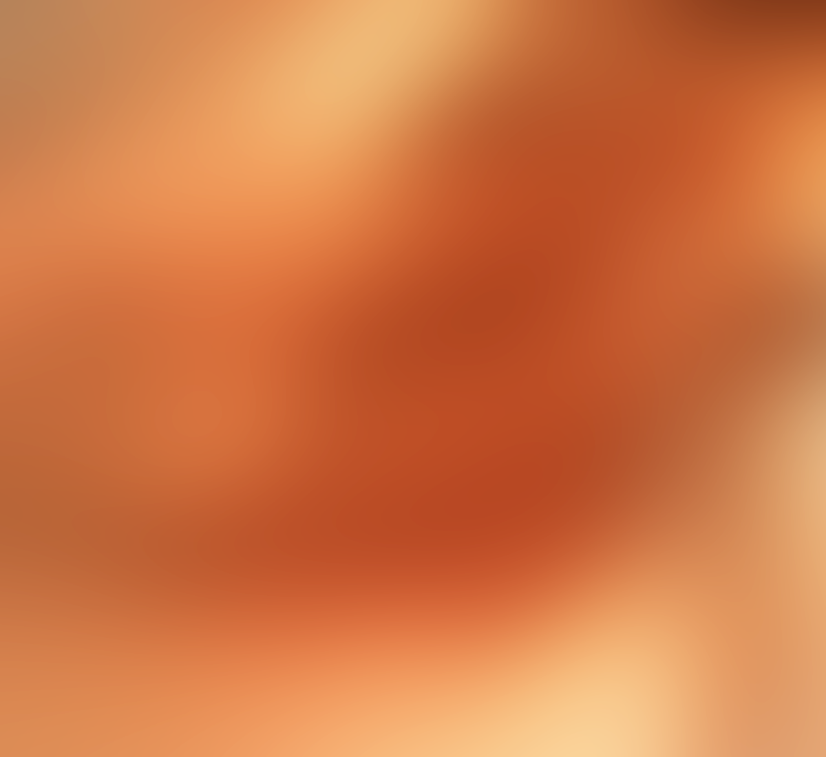 The image is extremely blurred, making it impossible to identify what is in it.