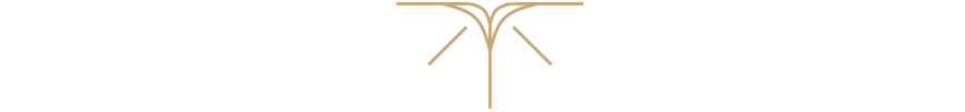 A close-up image of a dried plant or seed head with thin, branched, and curved structures against a plain white background.