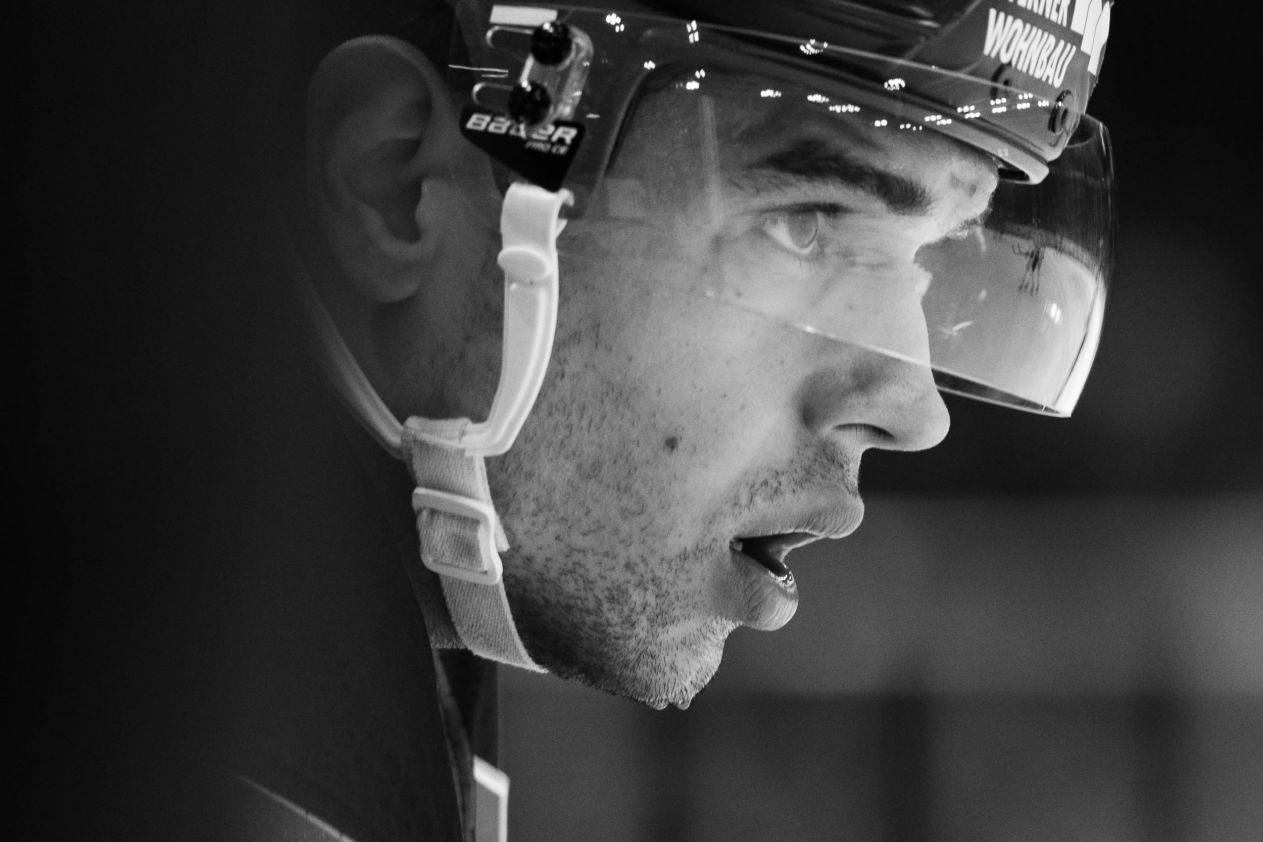 Deutsche Eishockey Liga