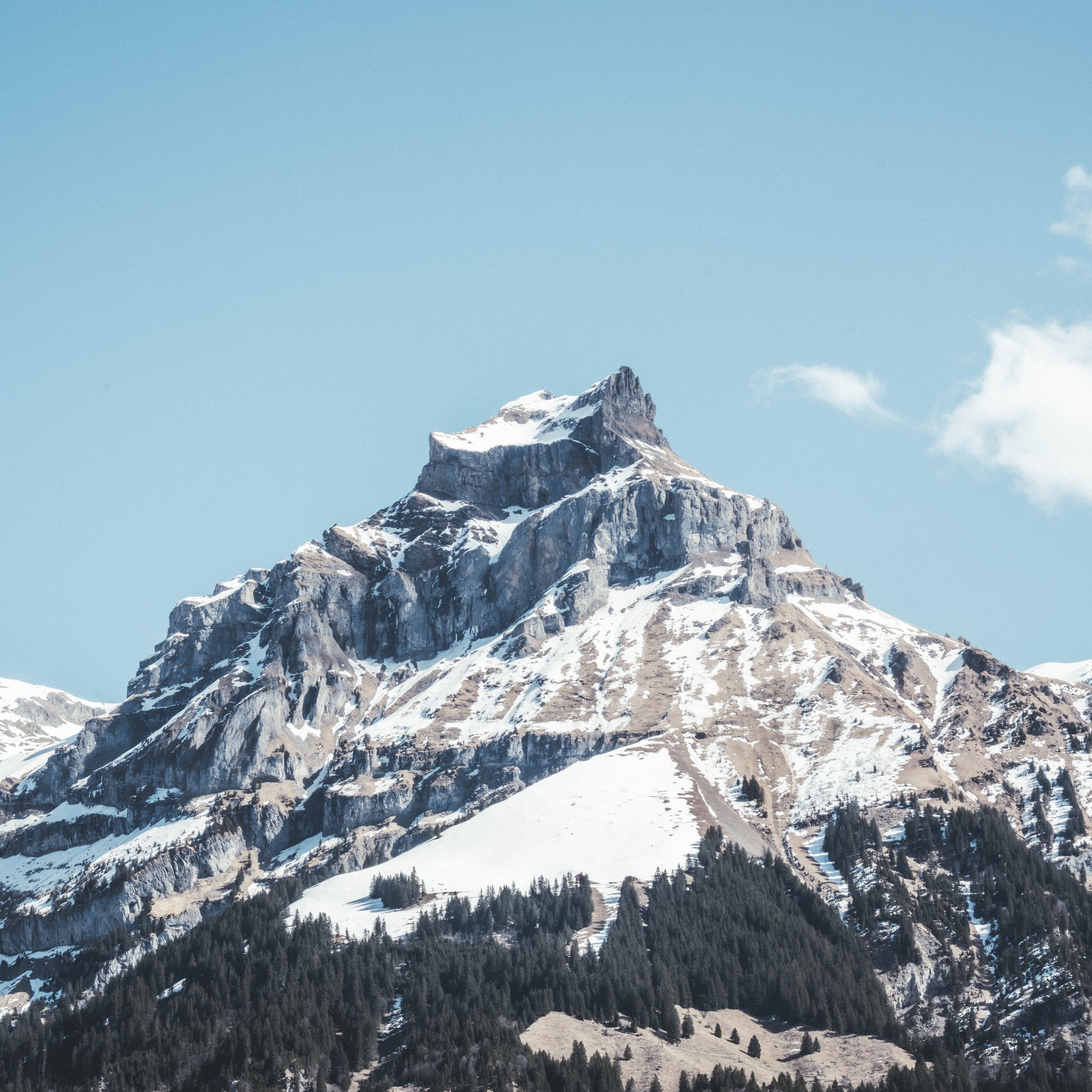 ALPINE