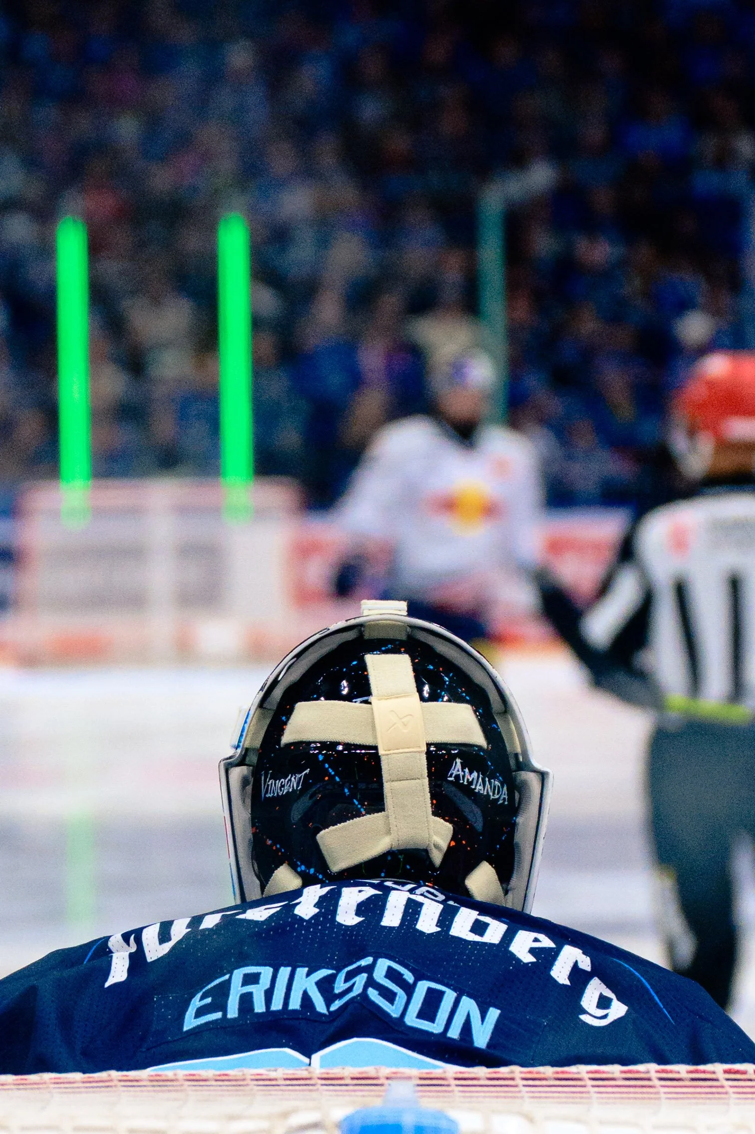 DEL Wildwings vs. RB München-7155.JPG