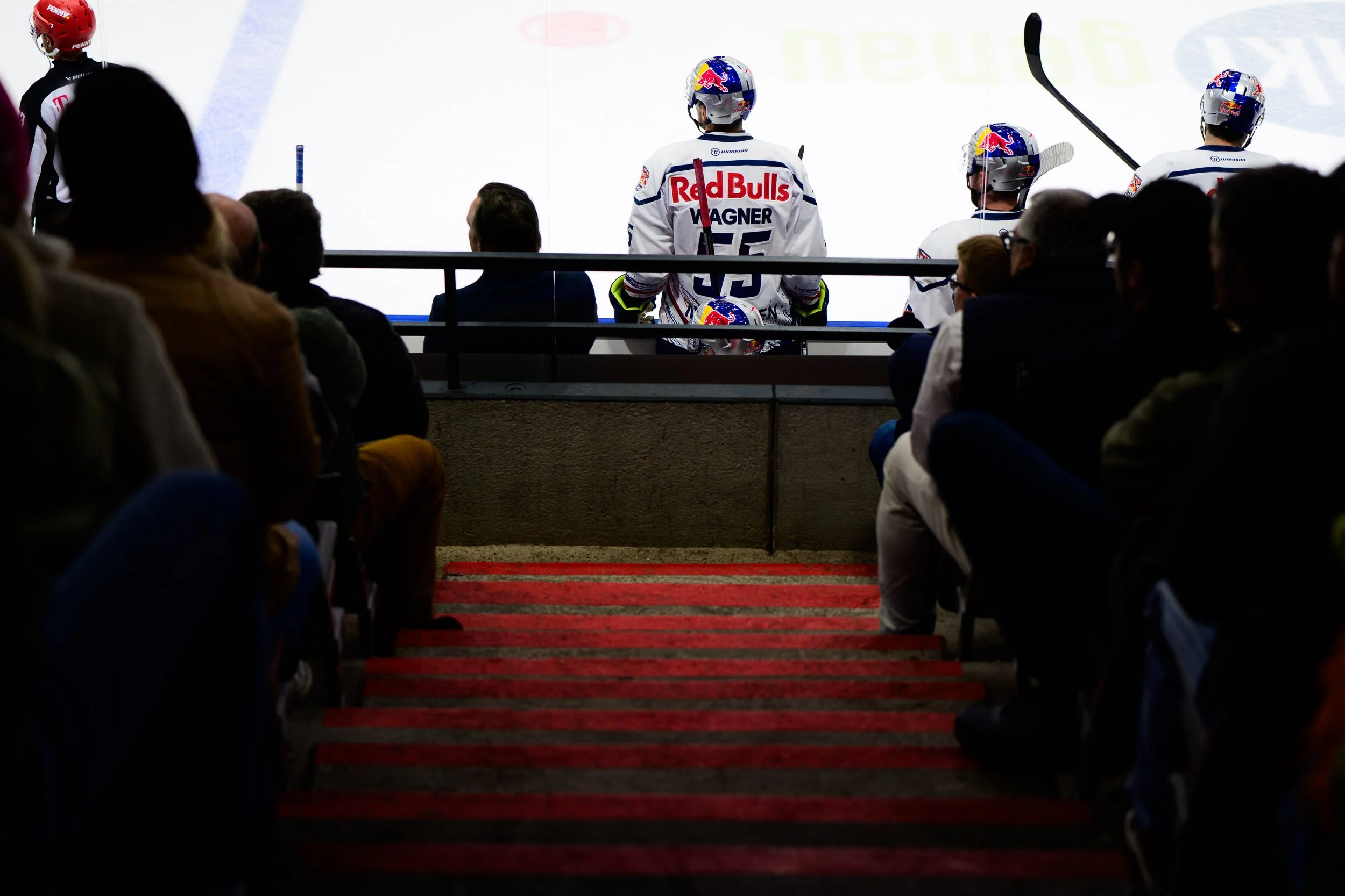 DEL Wildwings vs. RB München-8226.JPG
