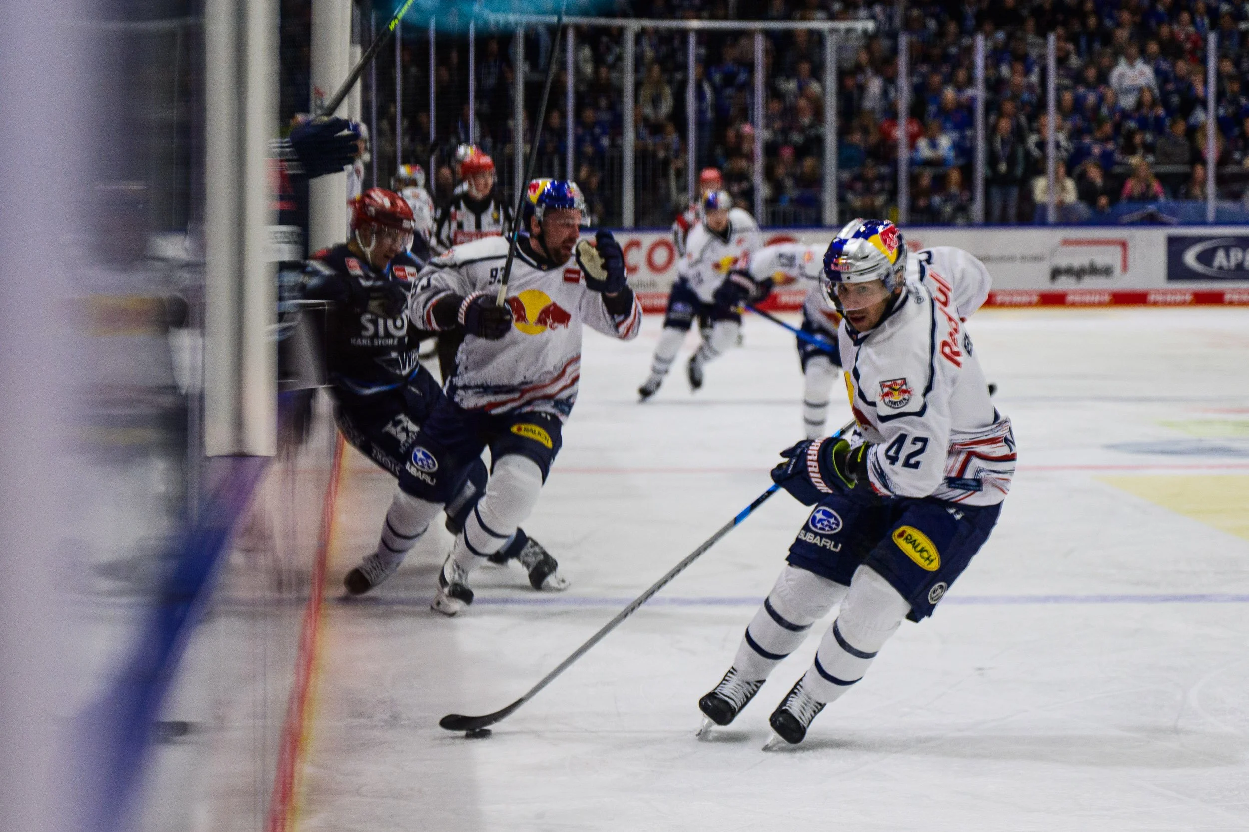 DEL Wildwings vs. RB München-7206.JPG