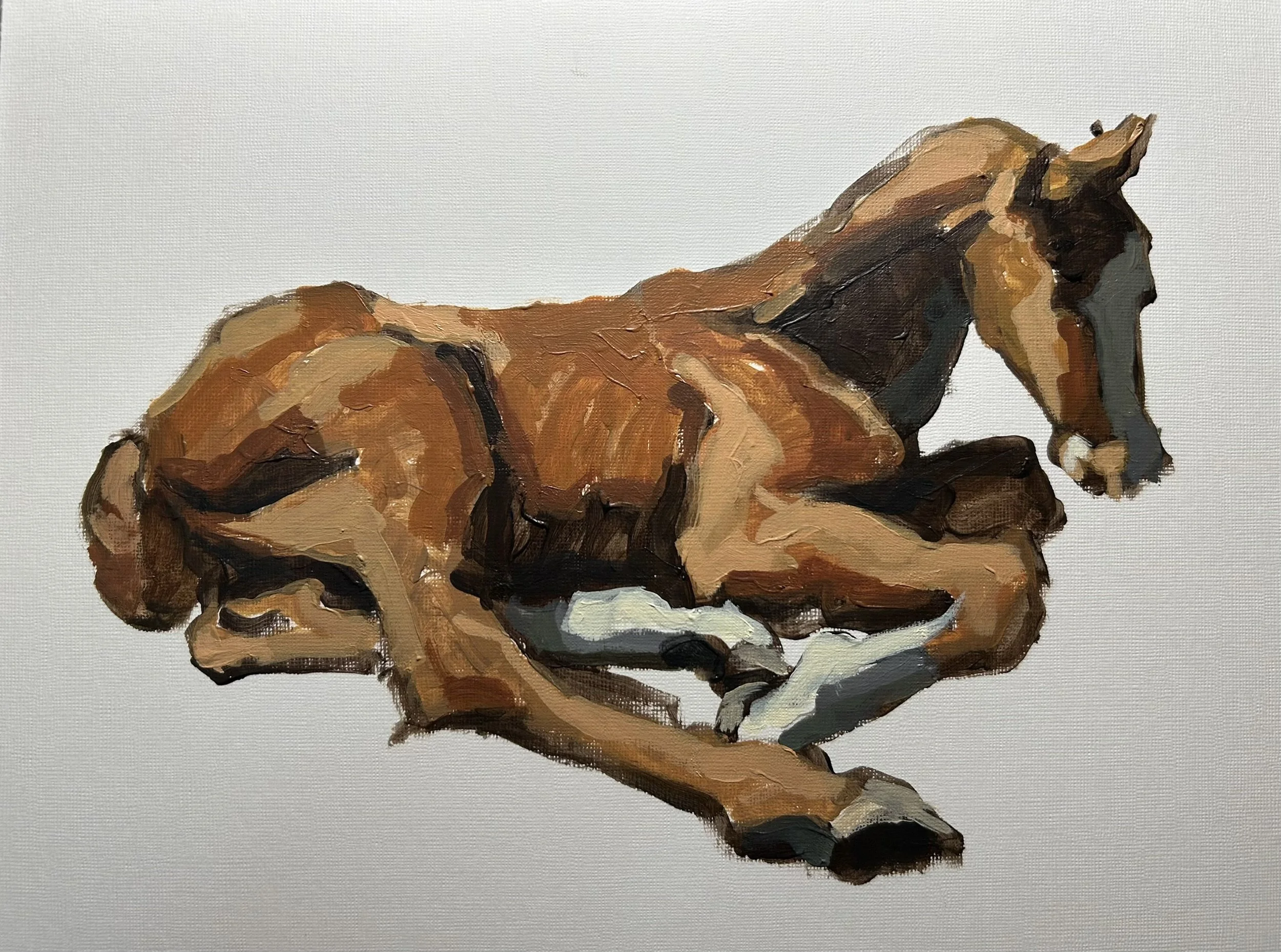 Natural beauty
9 x 12 acrylic on paper
$175