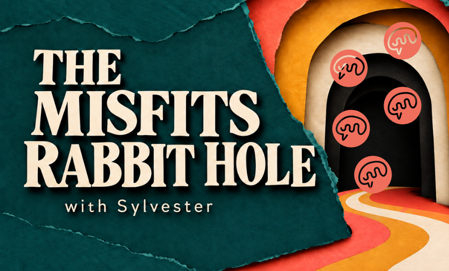 THE MISFITS RABBIT HOLE - AD/HD &amp; Shame: The part men don’t always talk about