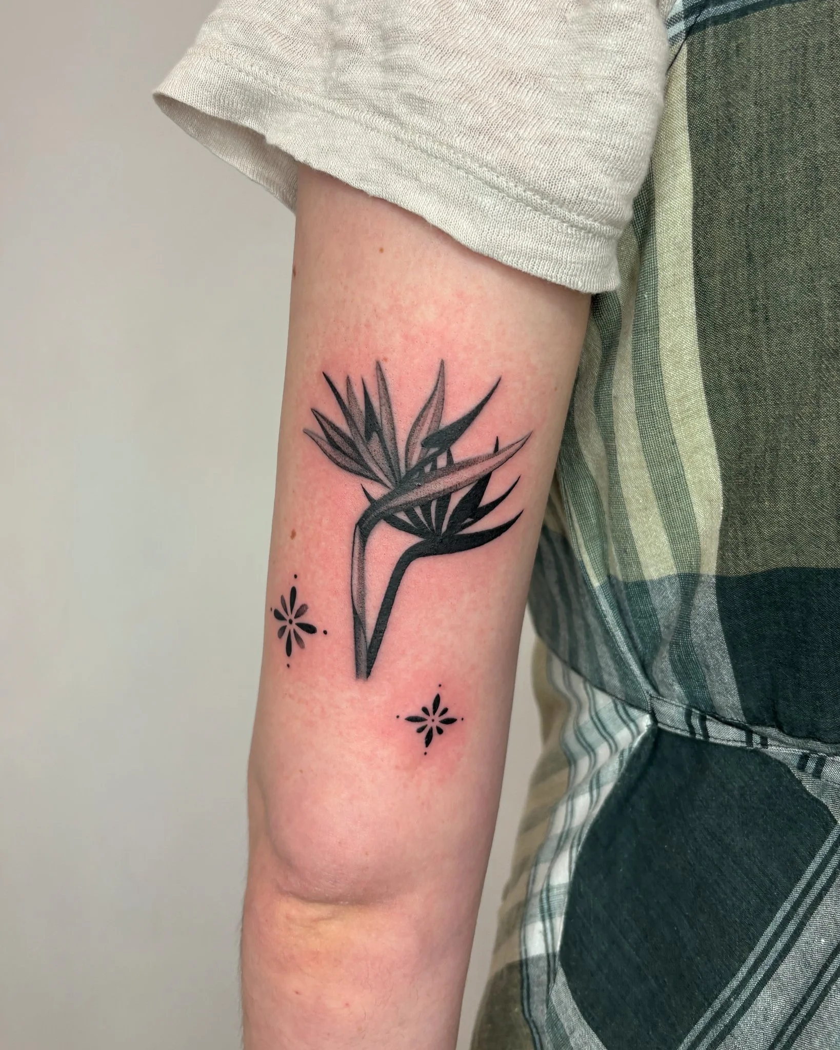 A person's thigh with a black ink tattoo of a flowering plant, with small floral designs nearby, and redness around the tattoo indicating recent tattooing.